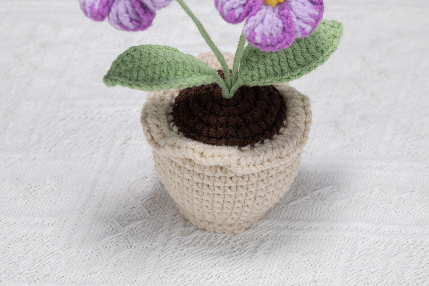 purple daisy with lace