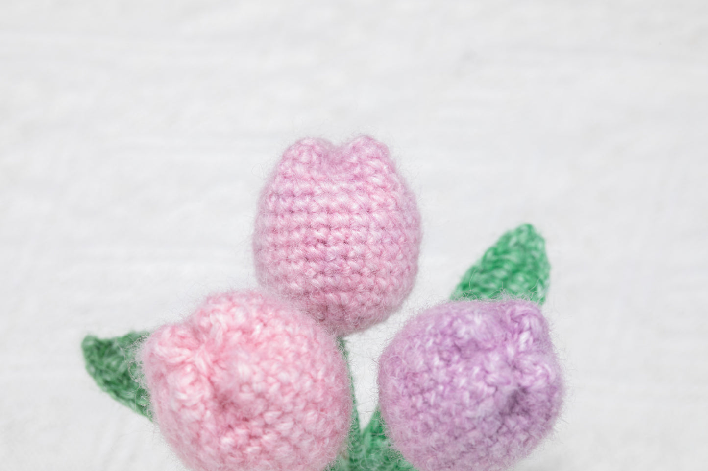 3 ombre purple tulip