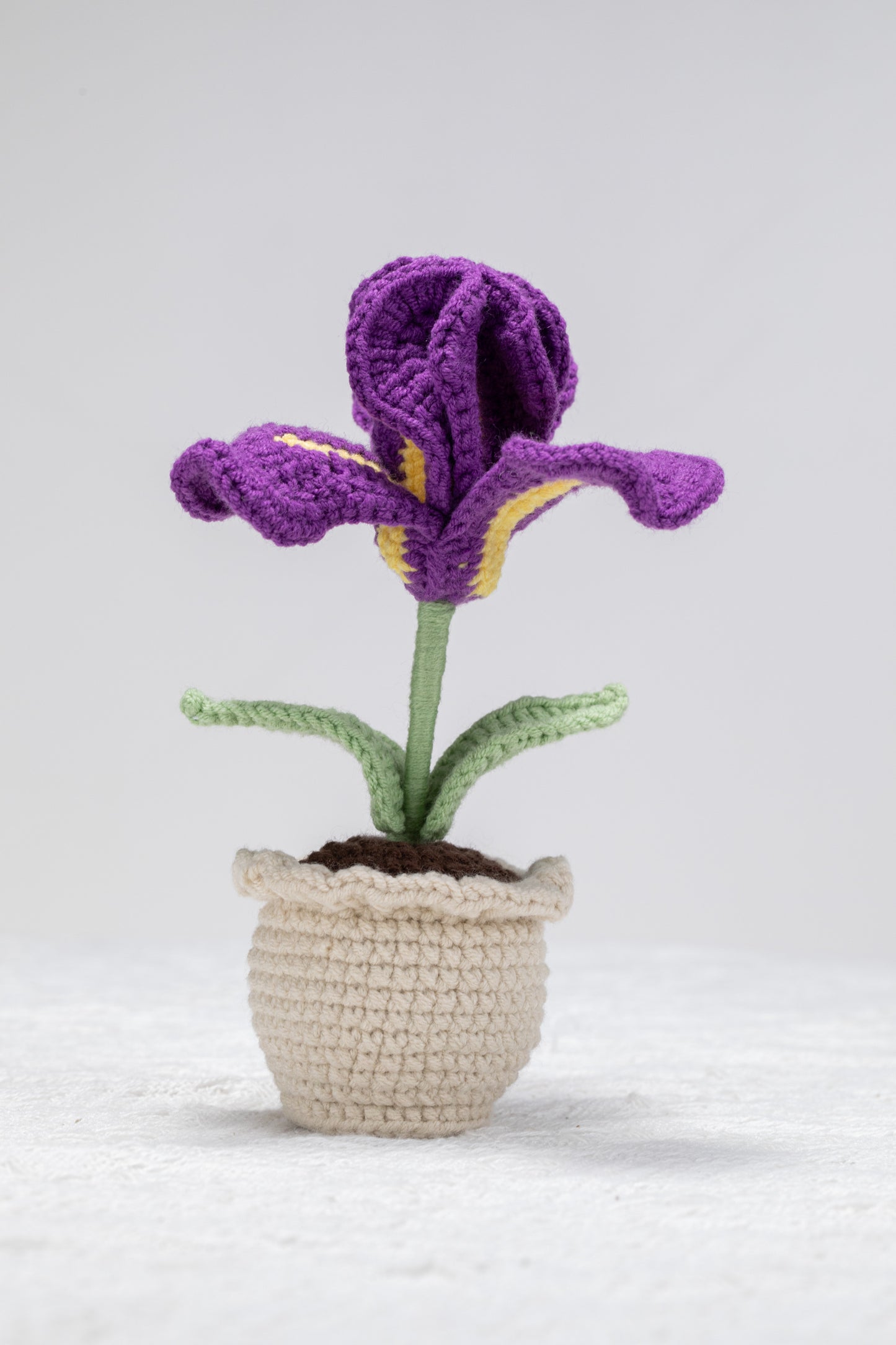 Iris