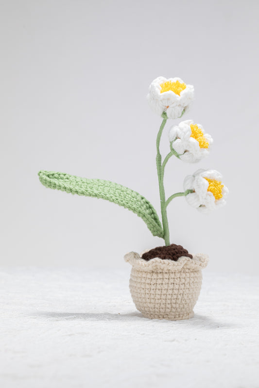 Small Lily of the valley