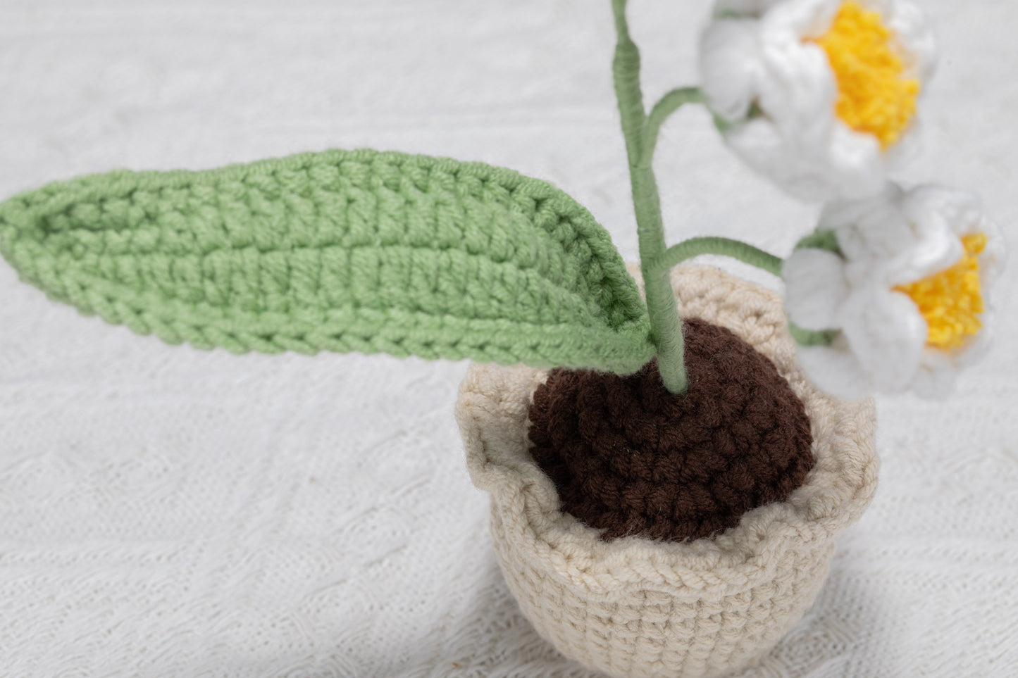 Small Lily of the valley