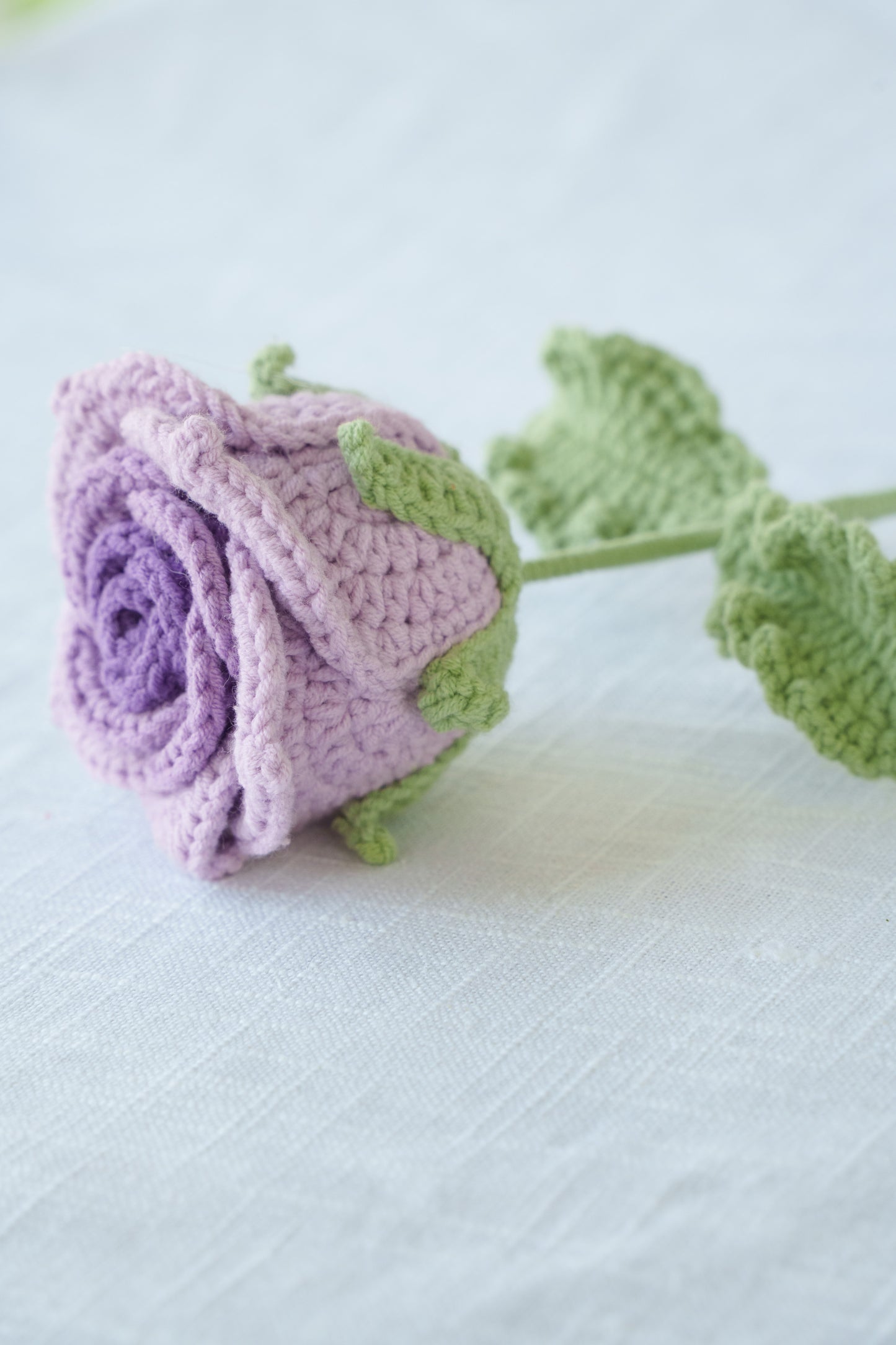 purple gradient thai rose