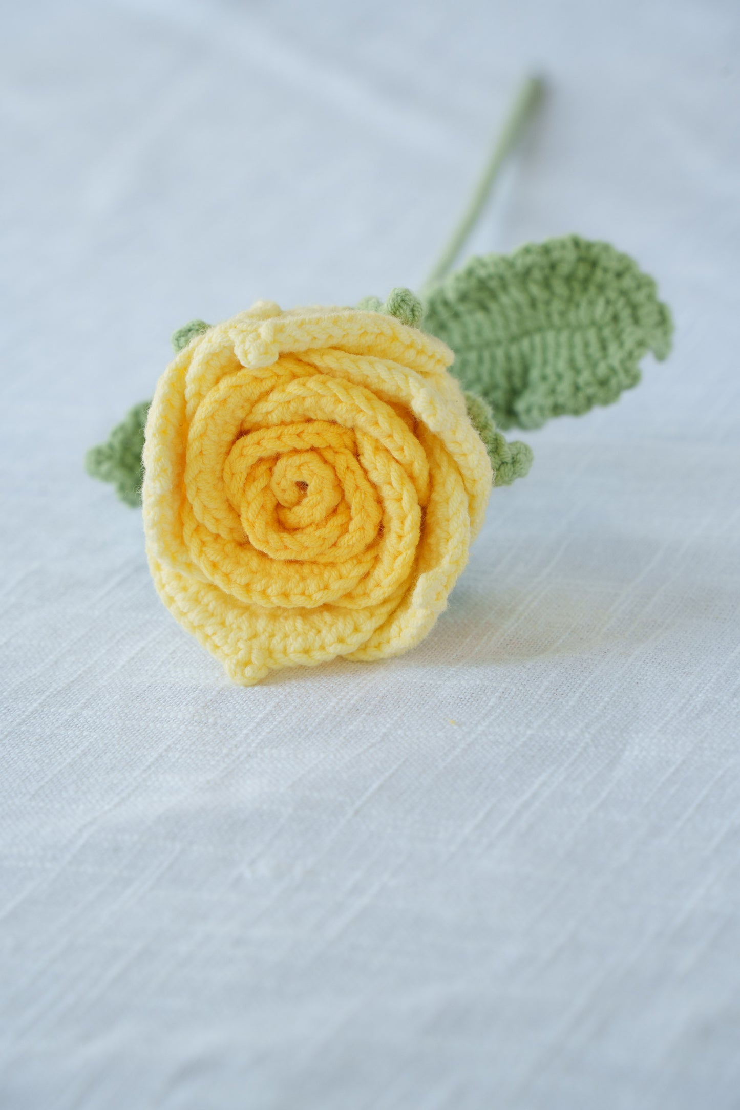 yellow gradient thai rose