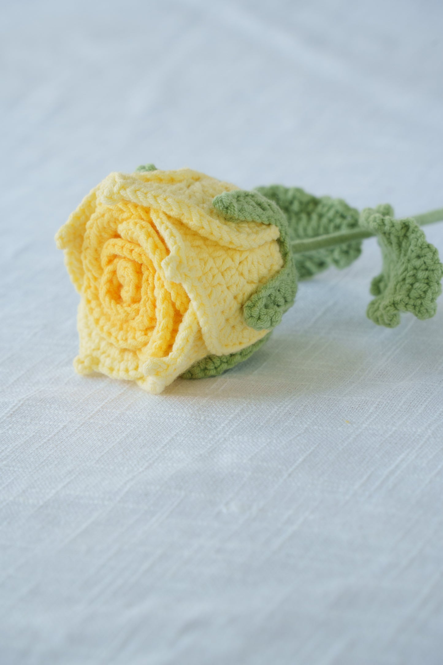 yellow gradient thai rose