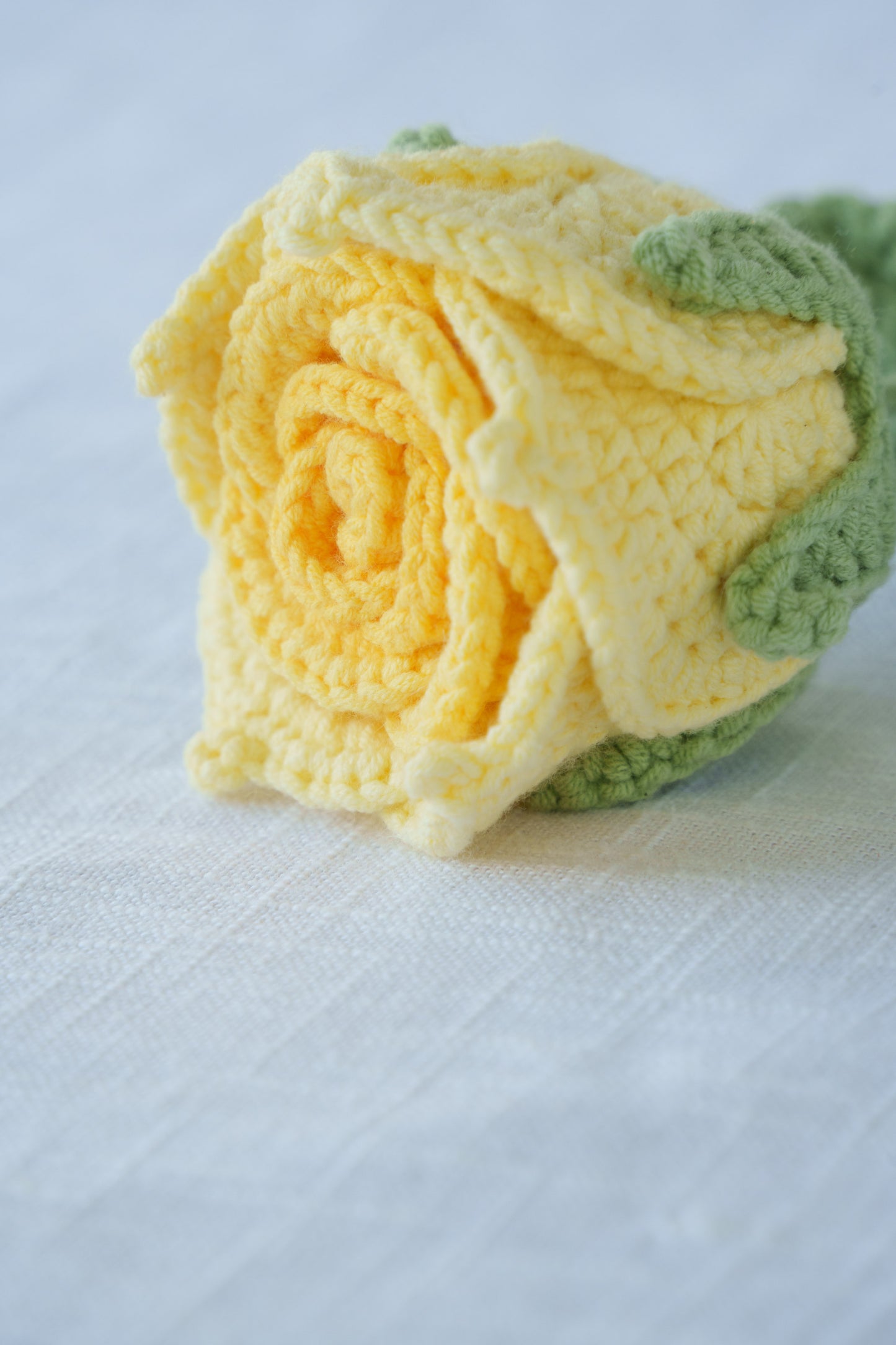 yellow gradient thai rose