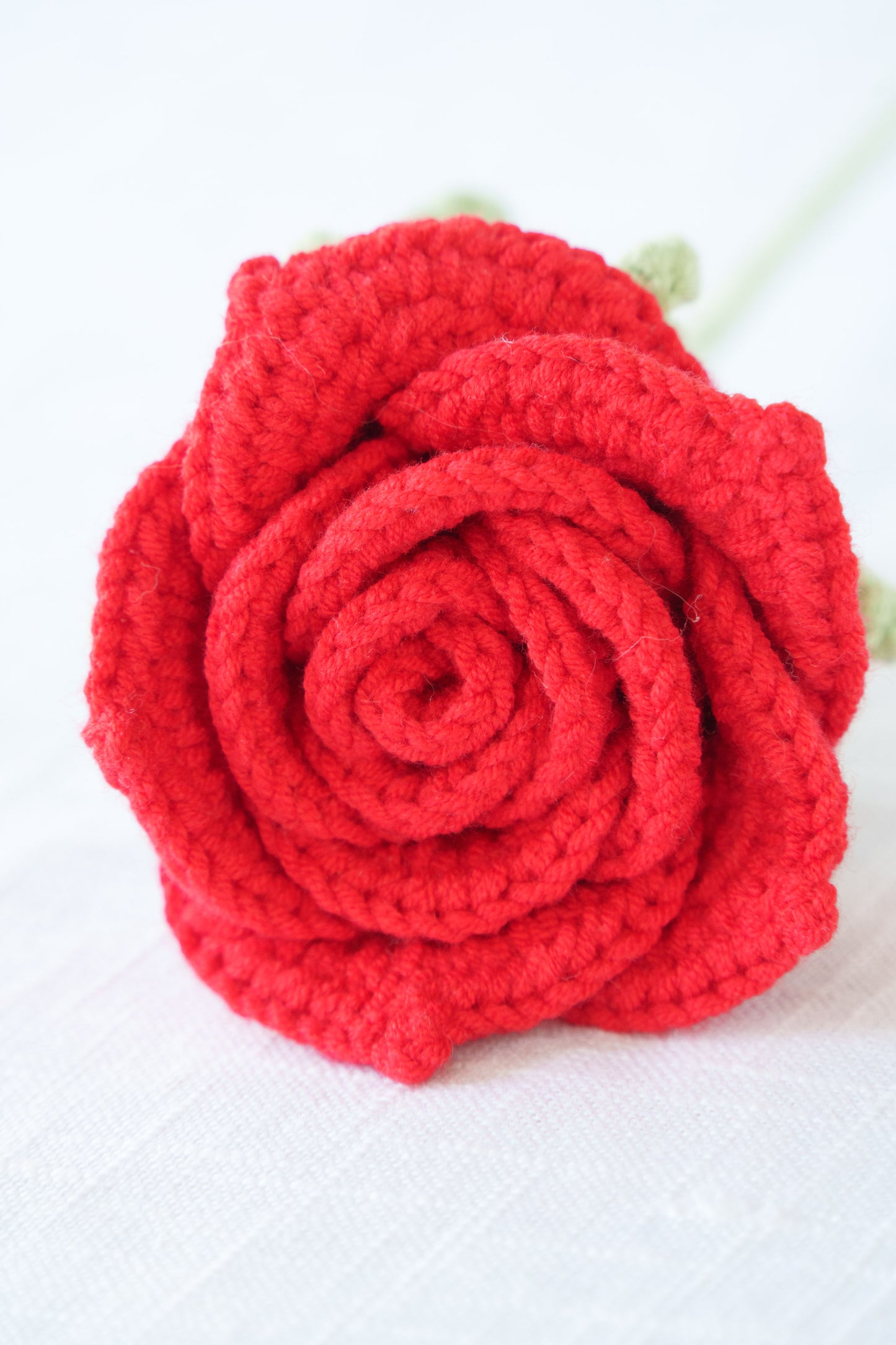 red thai rose