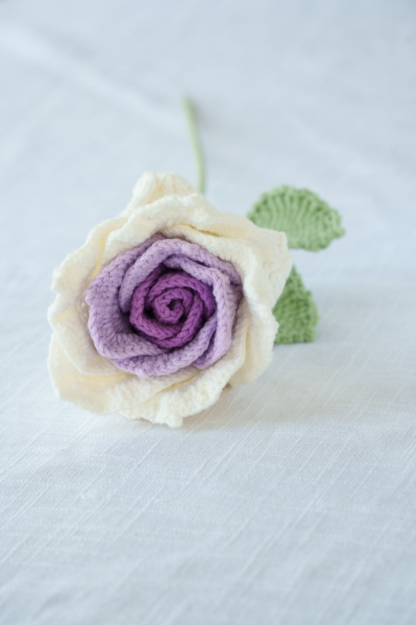 large purple gradient thai rose