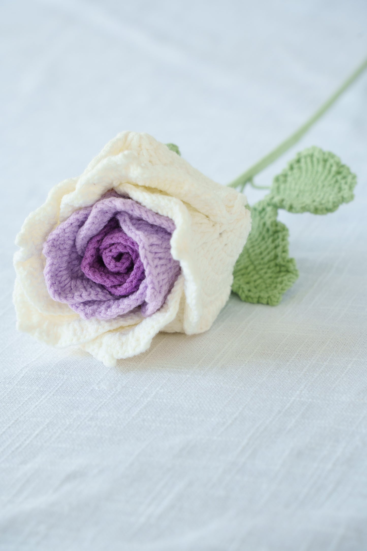large purple gradient thai rose