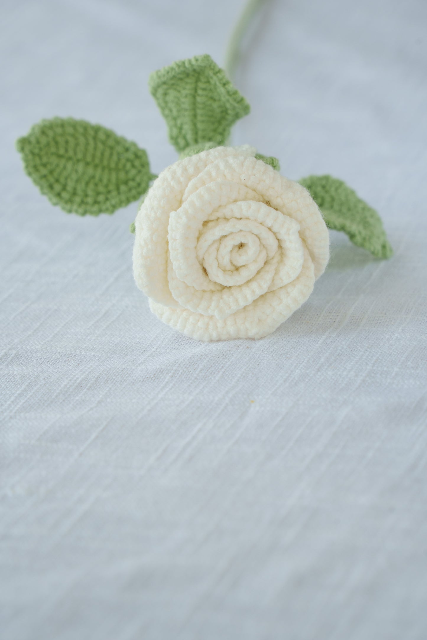 white rose