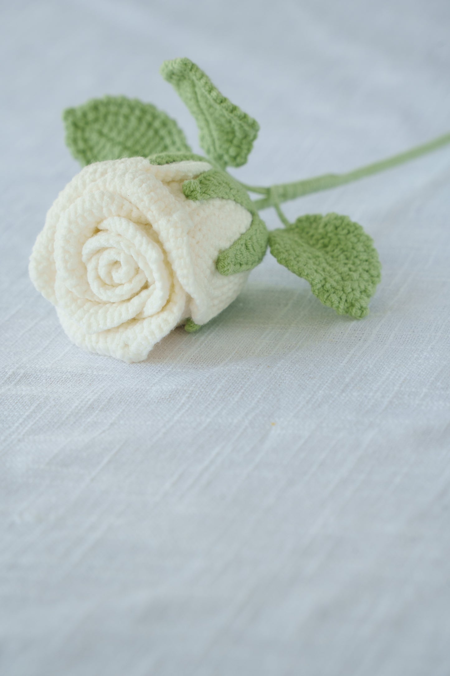 white rose
