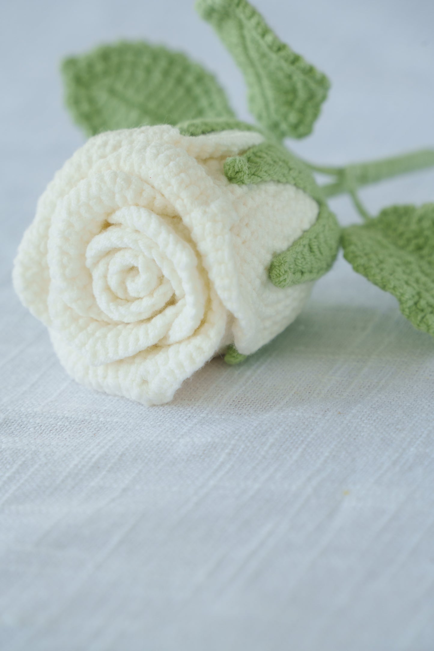 white rose