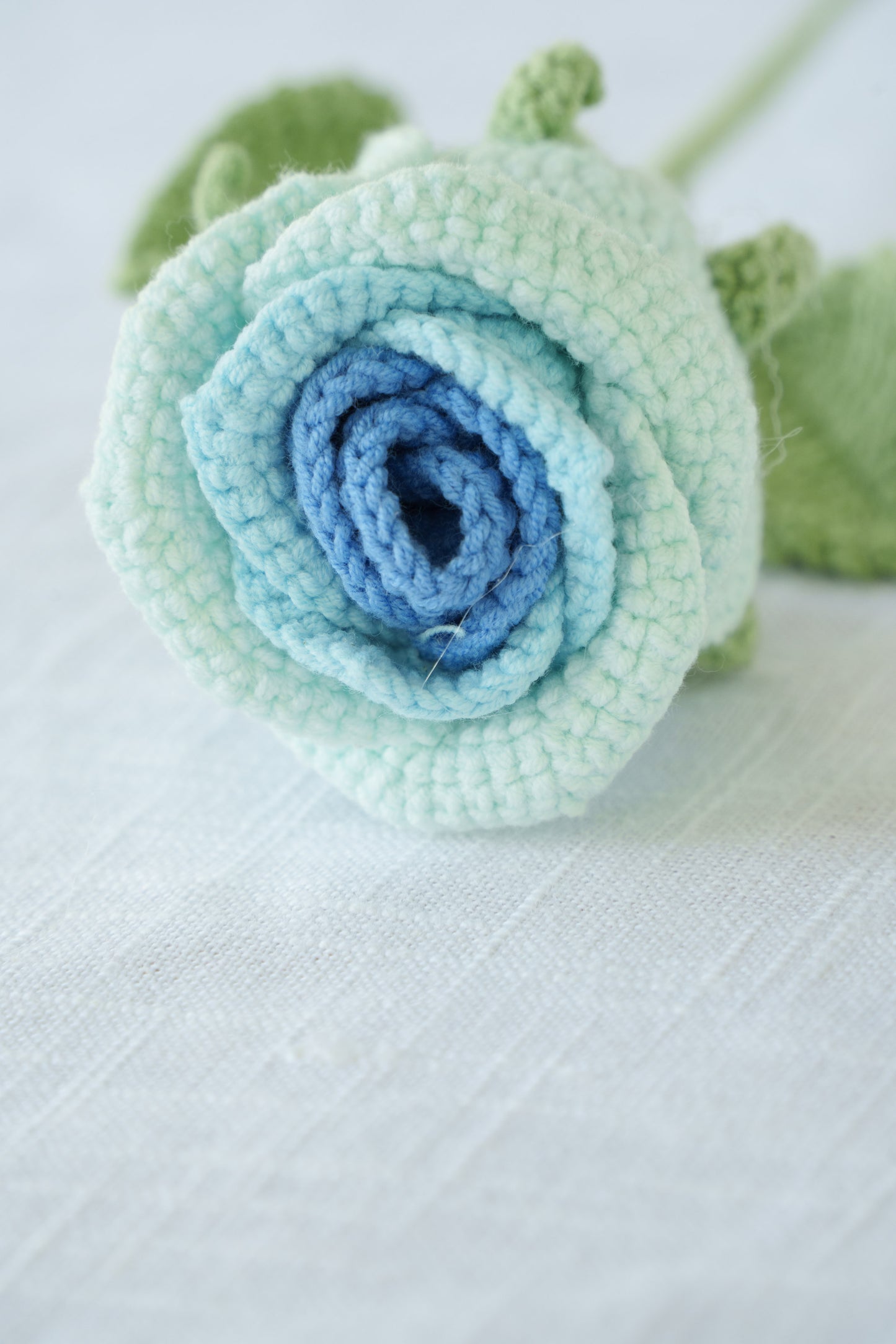 ombre blue rose
