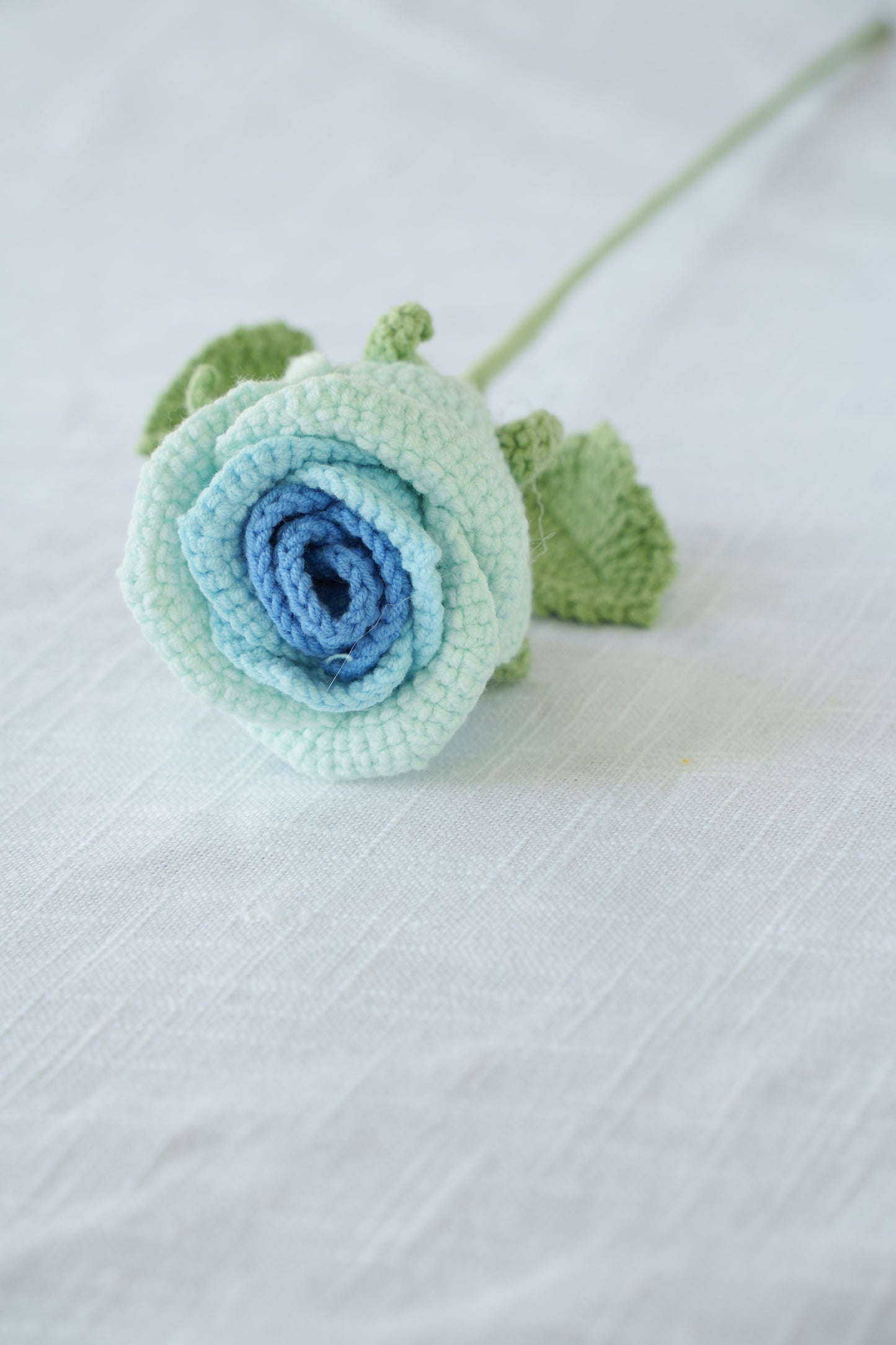 ombre blue rose
