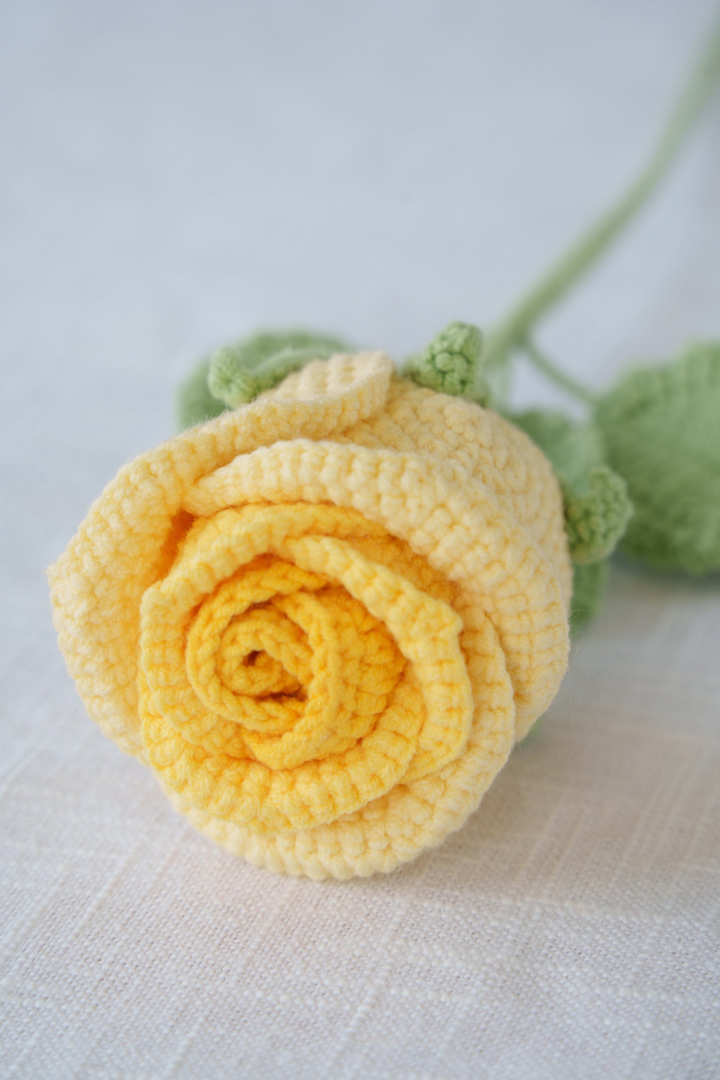 ombre yellow rose