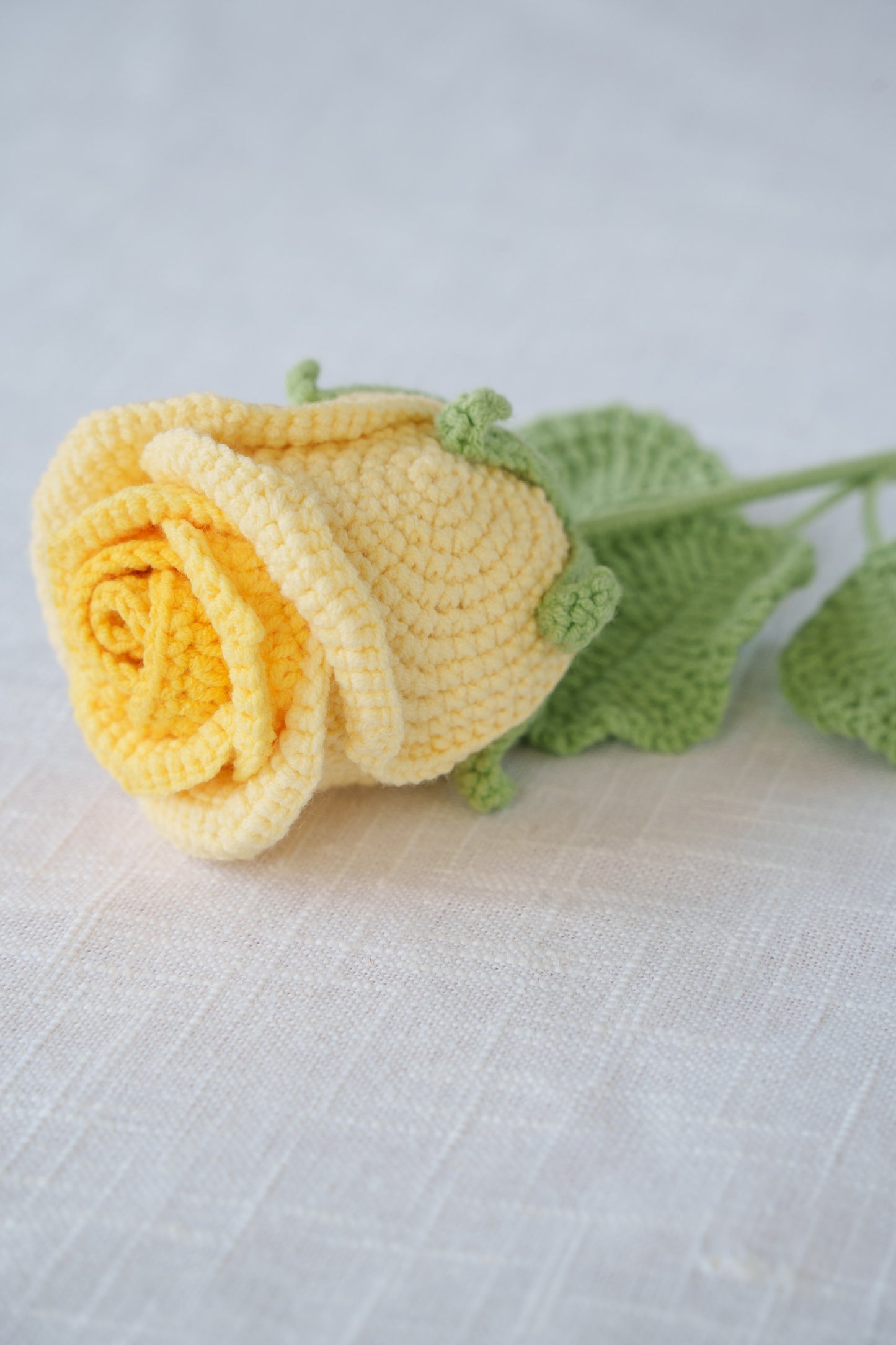 ombre yellow rose