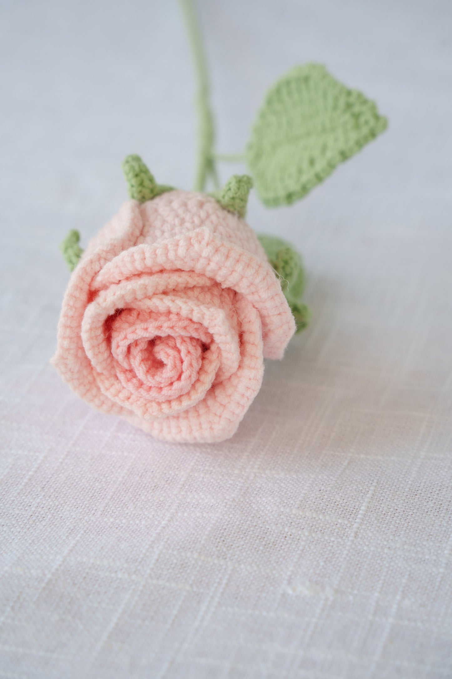 ombre pink rose