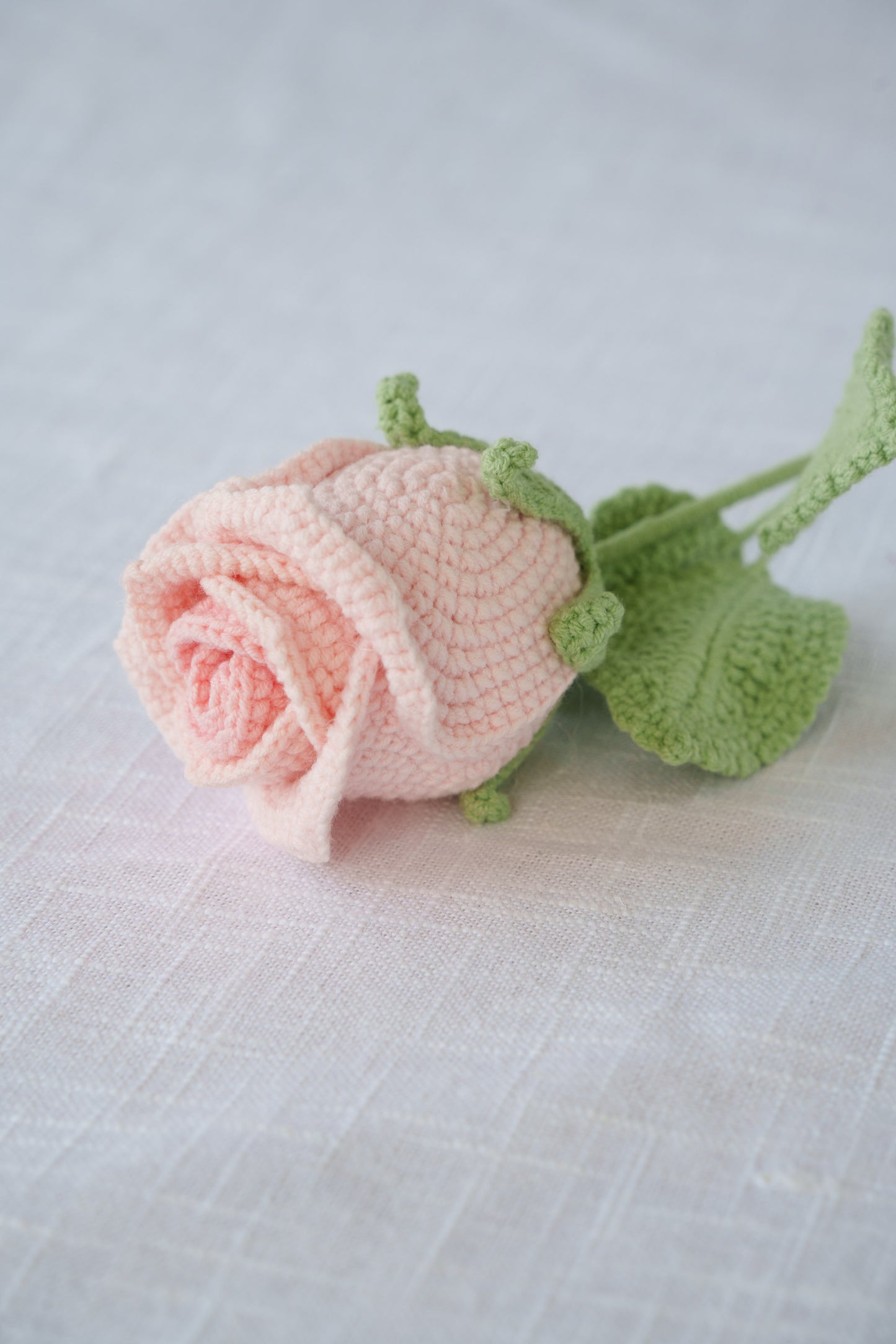 ombre pink rose