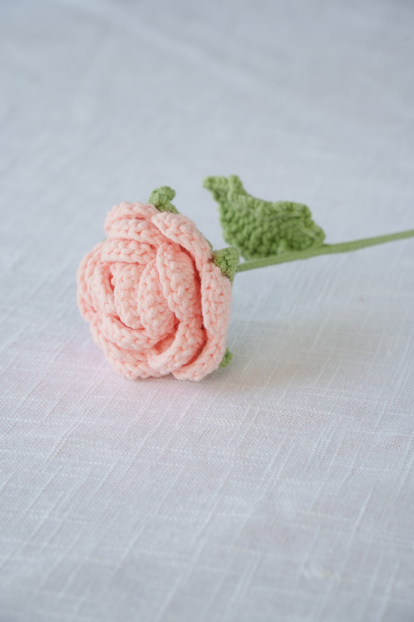 pink rose