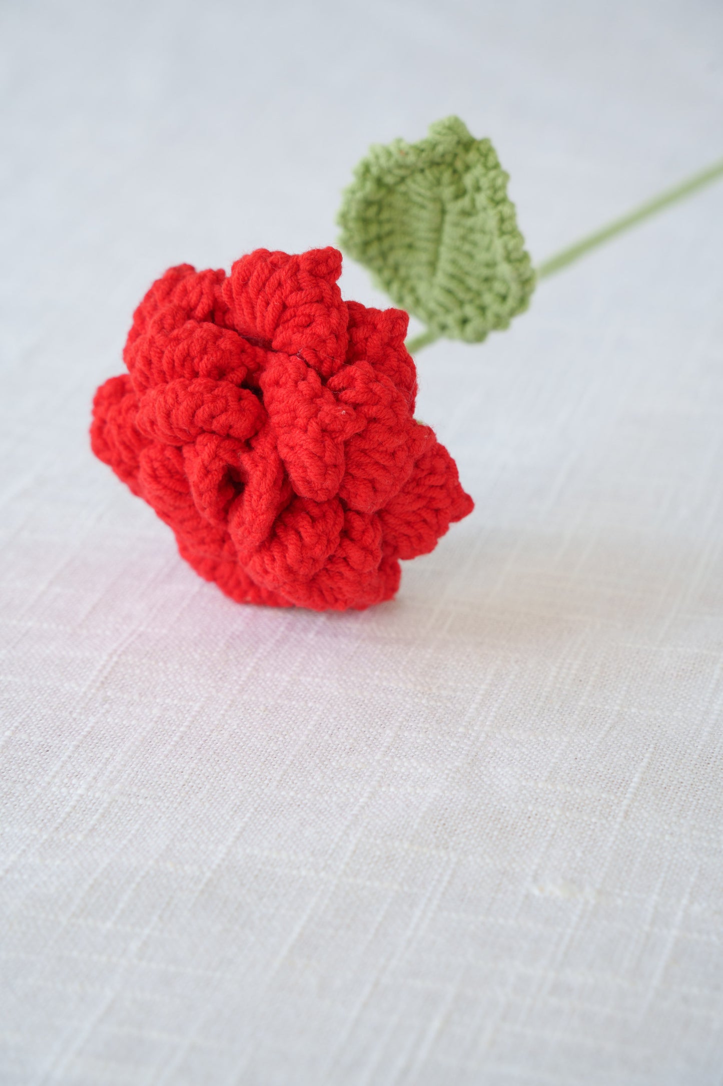 red rose
