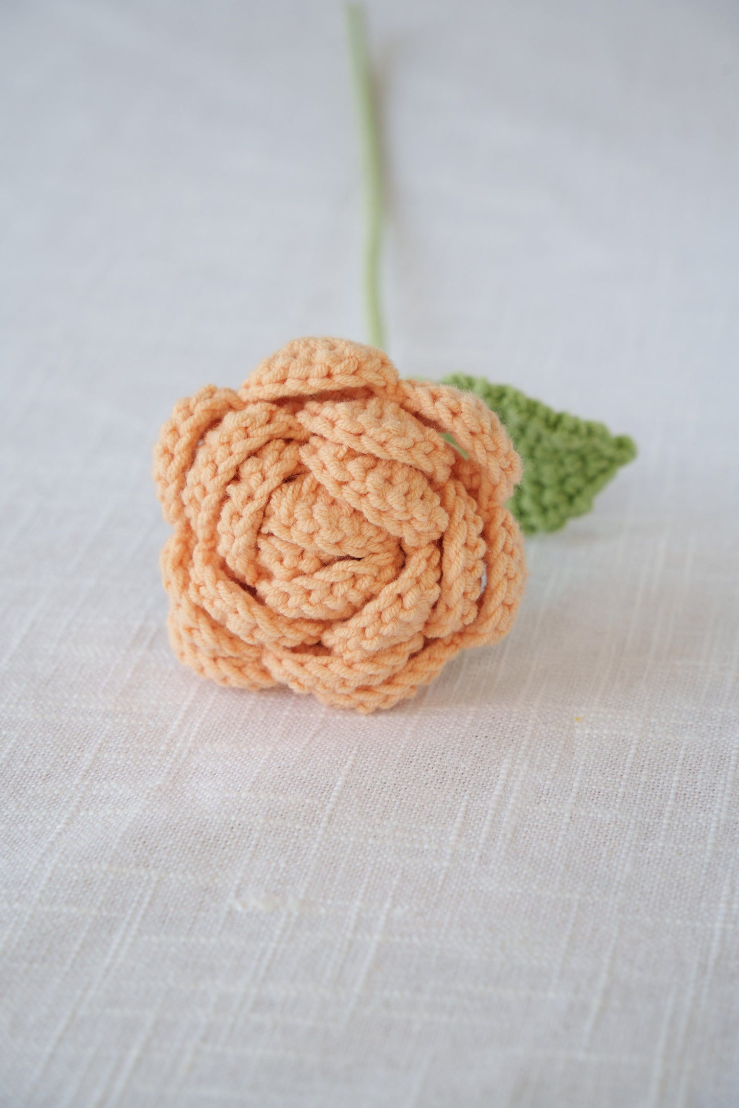 peach pink rose