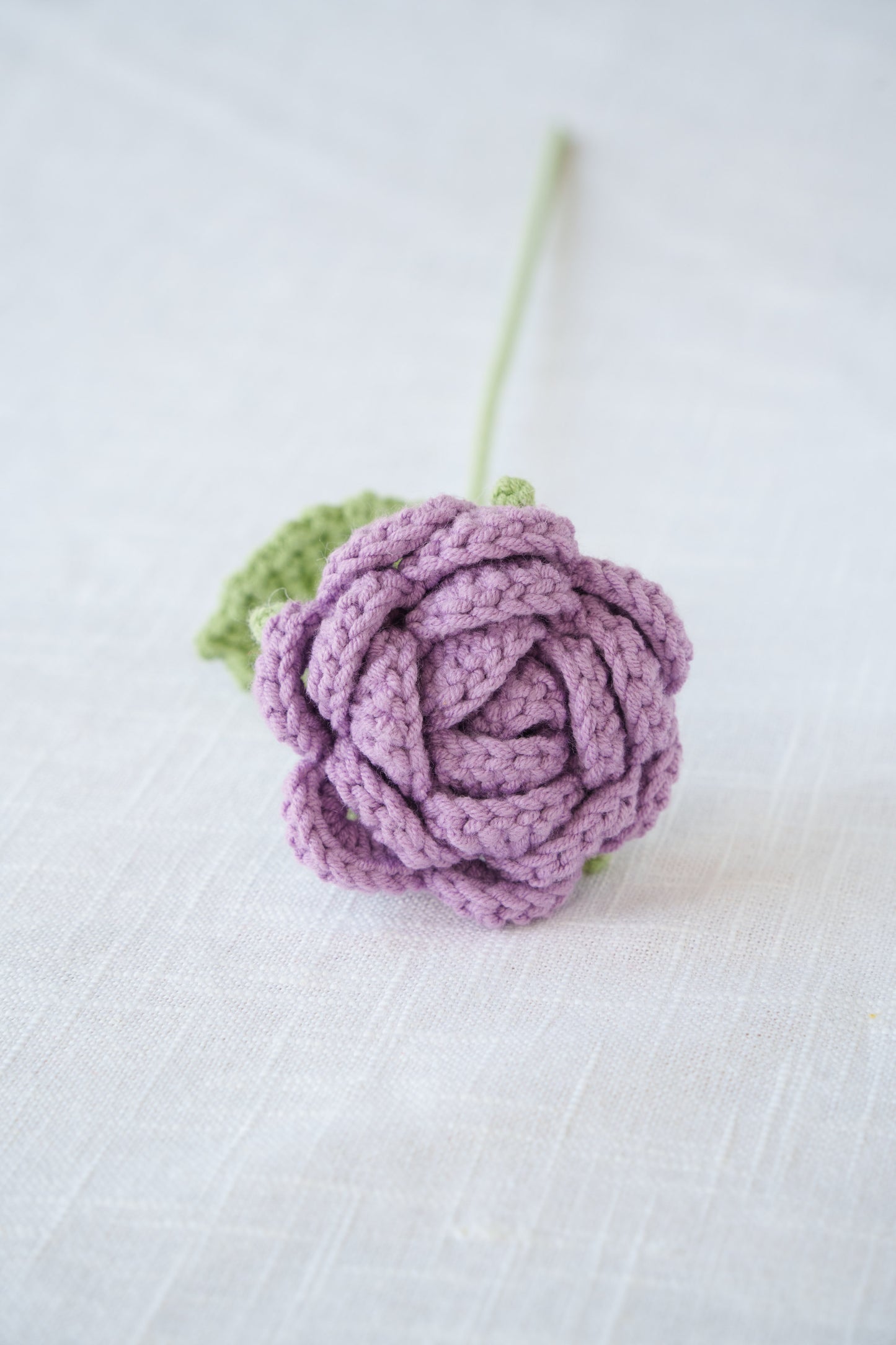 purple rose