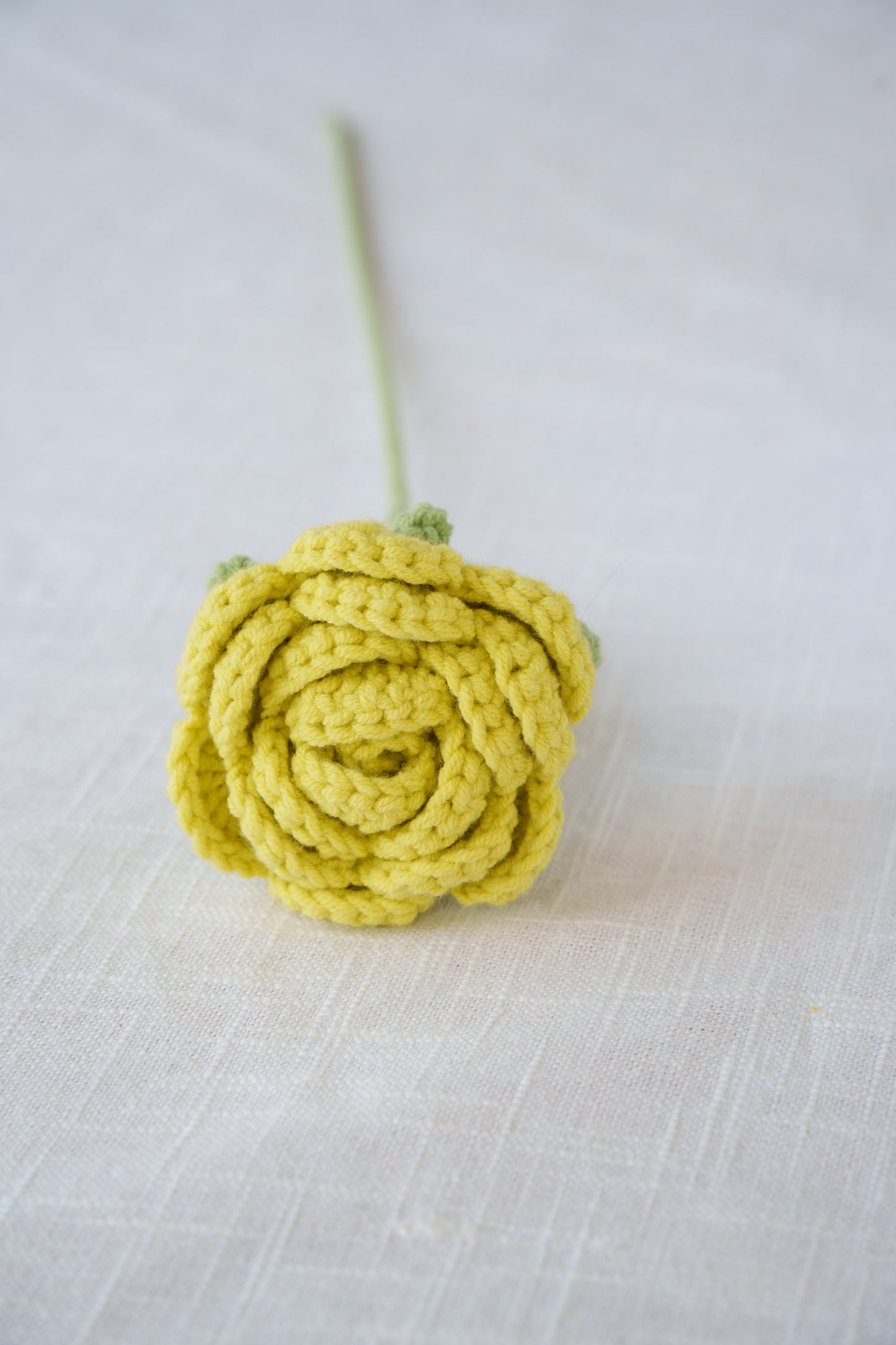 green rose