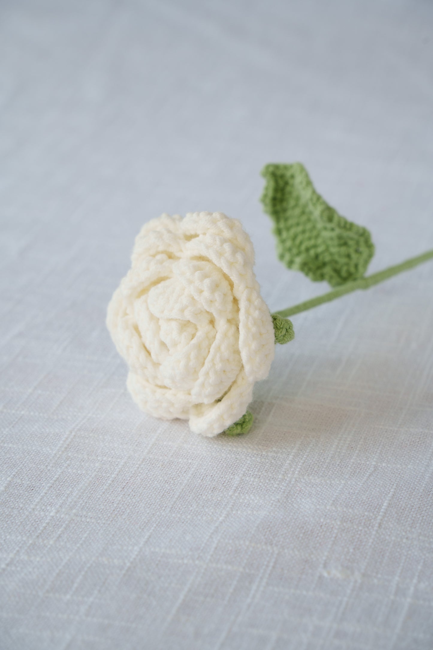 white rose