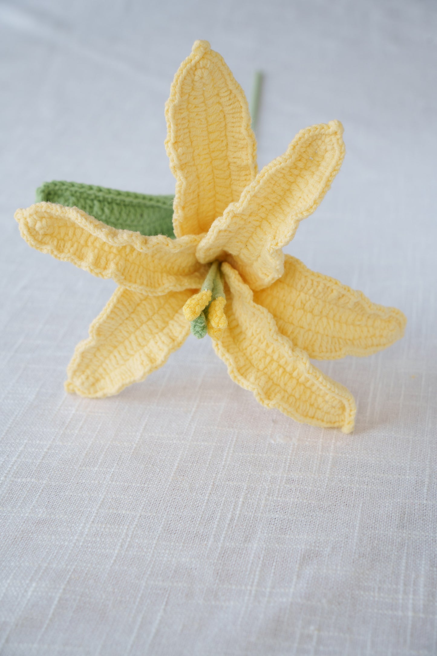 yellow lily