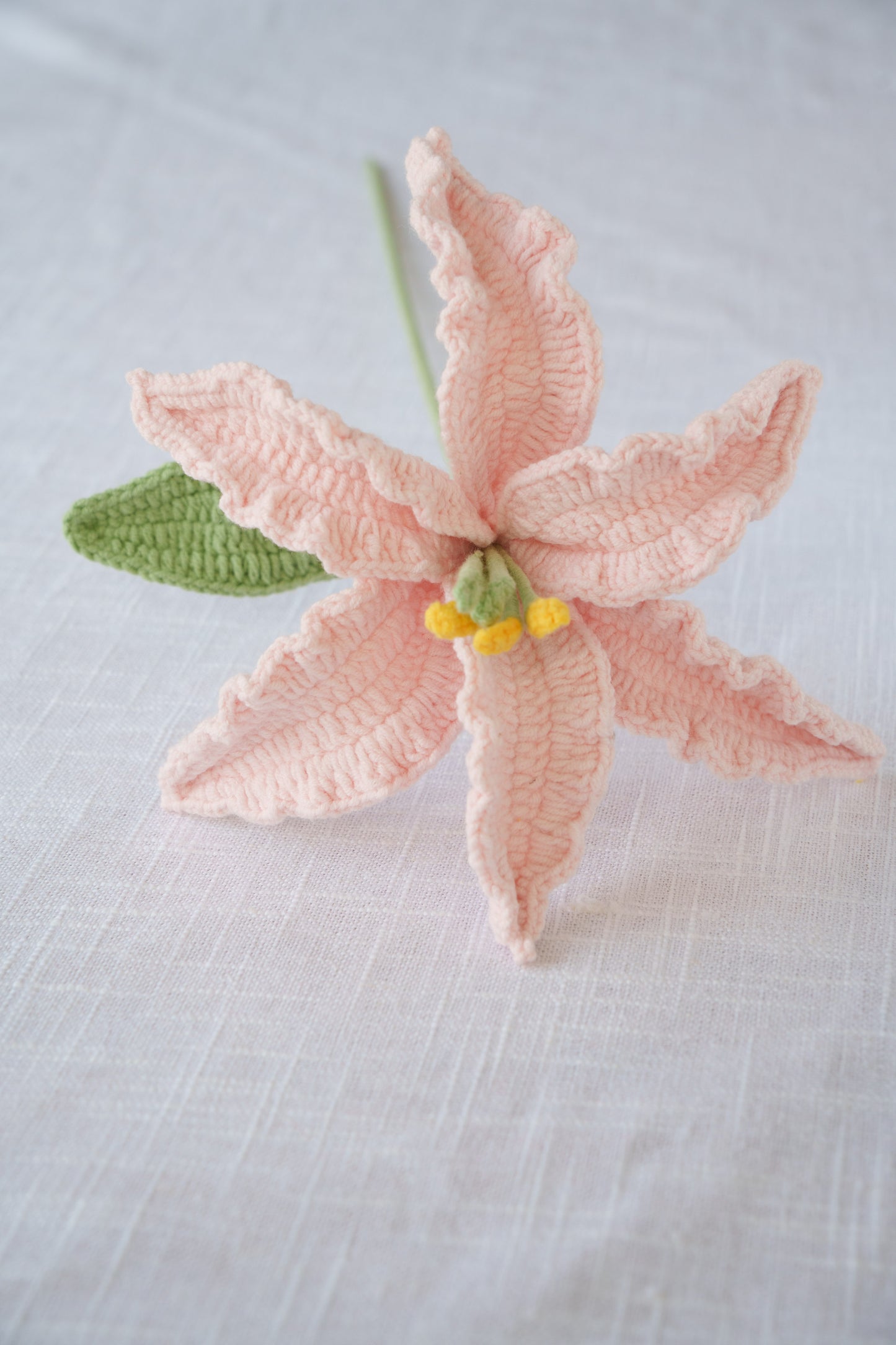 pink lily