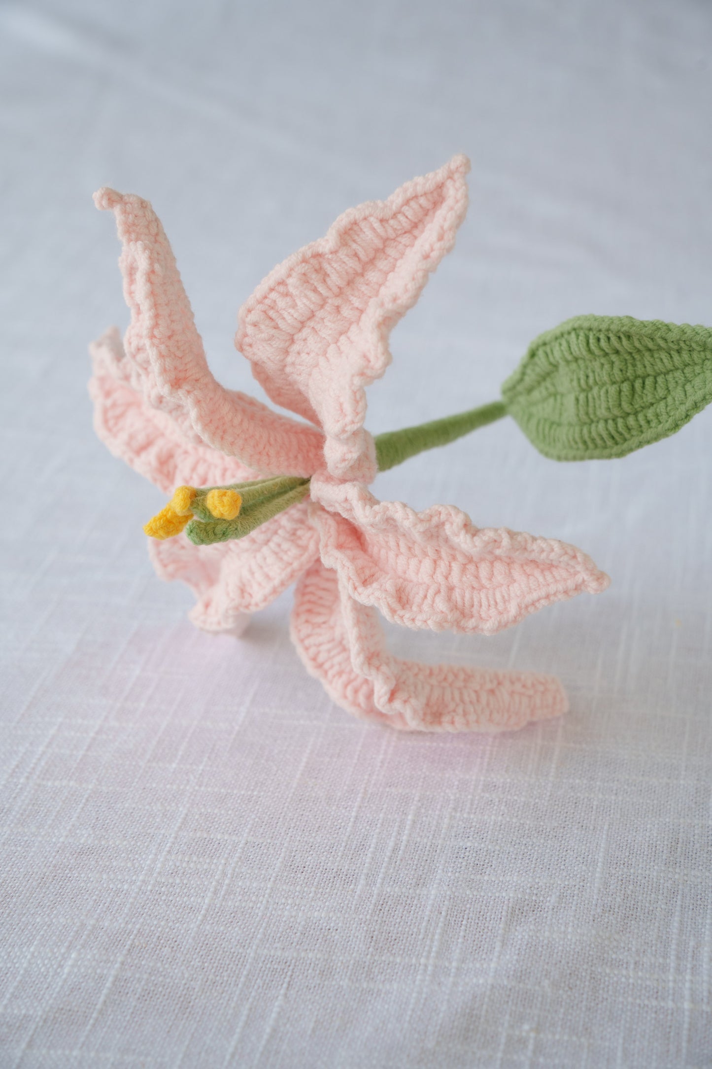 pink lily