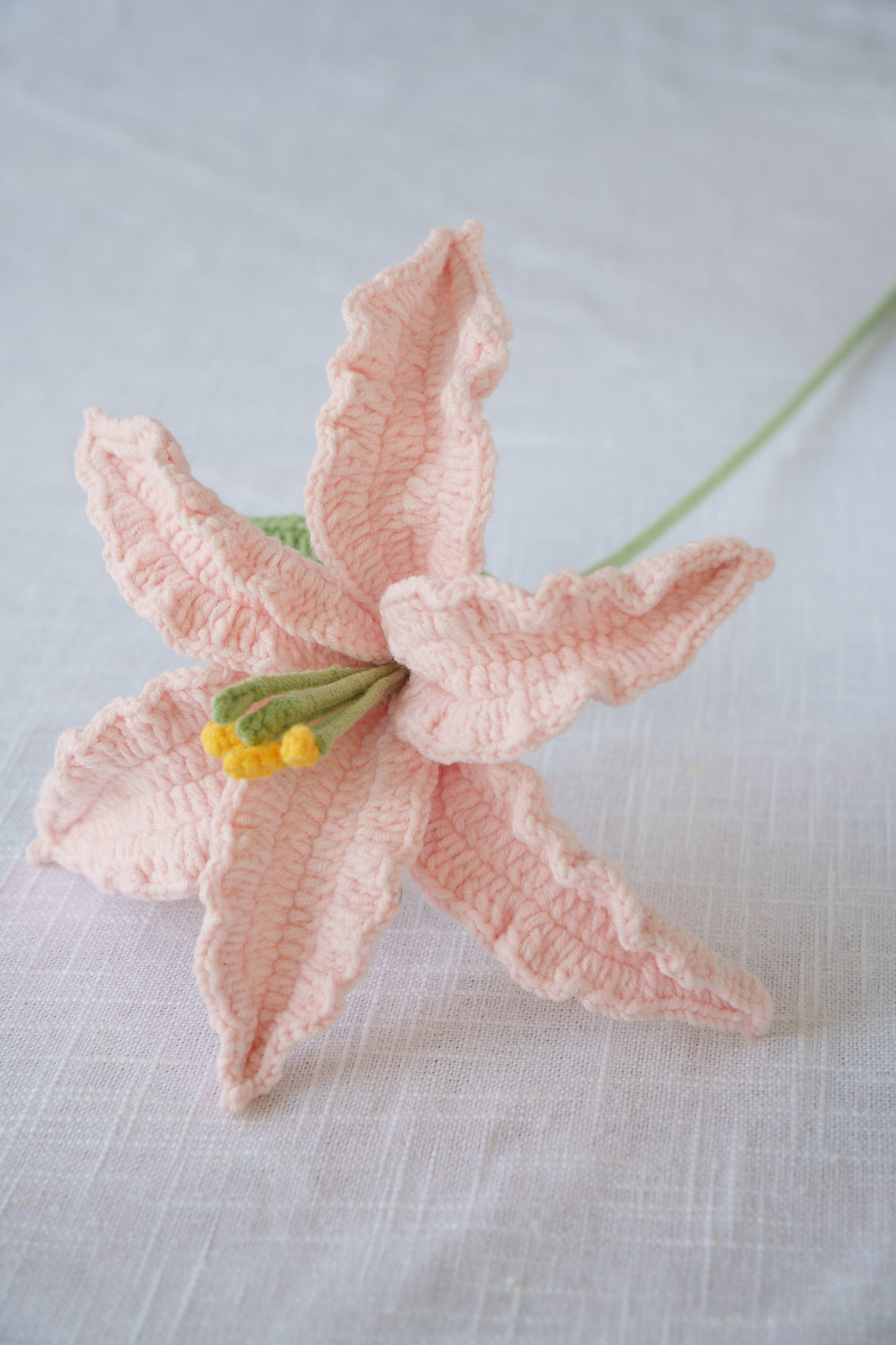 pink lily