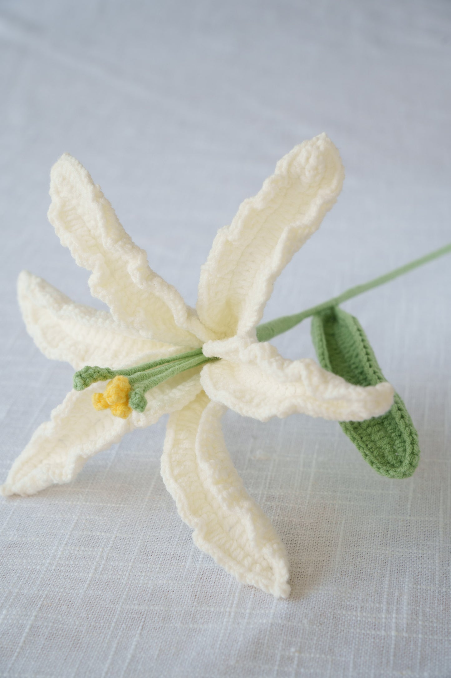 white lily
