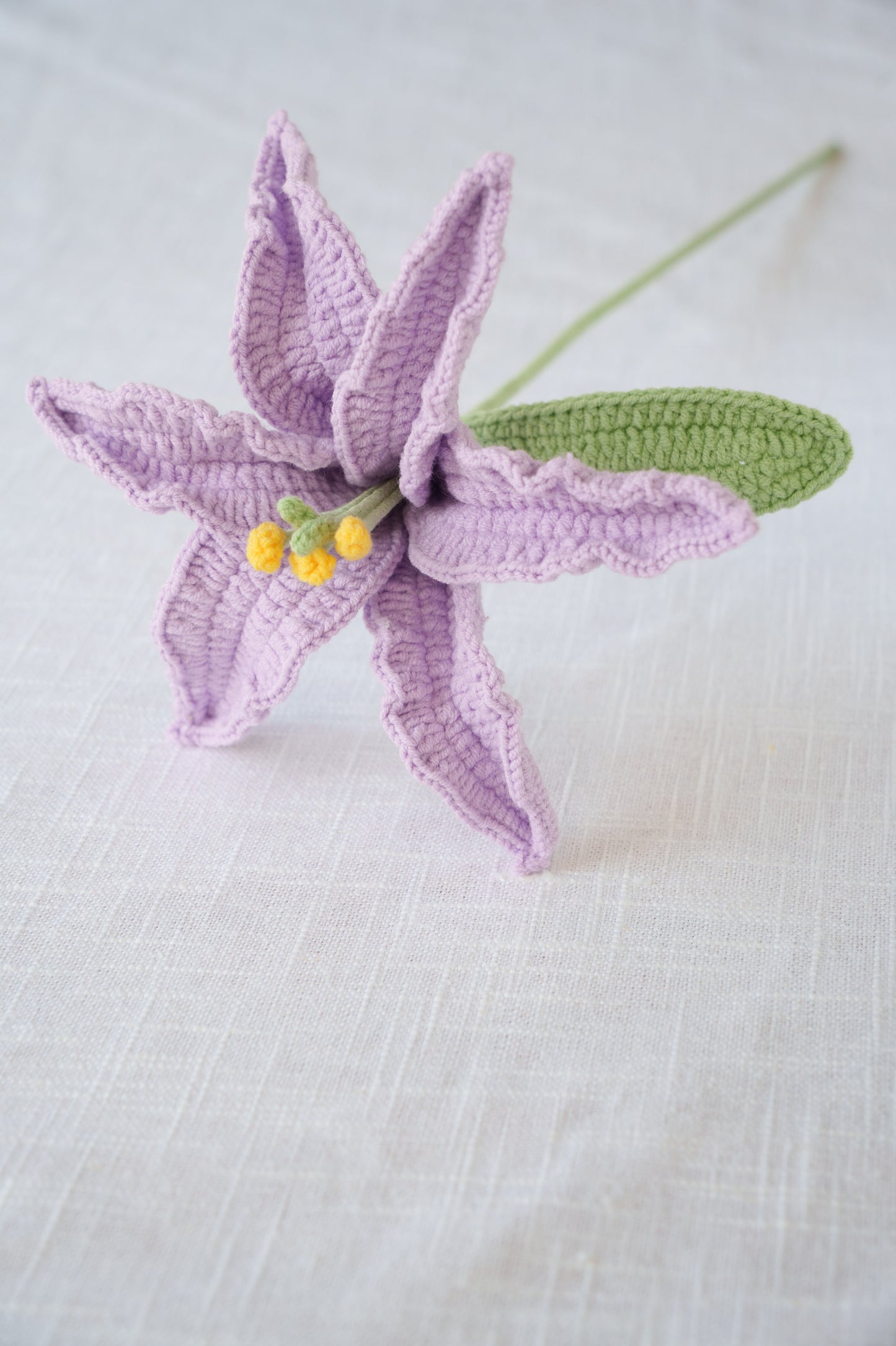 purple lily
