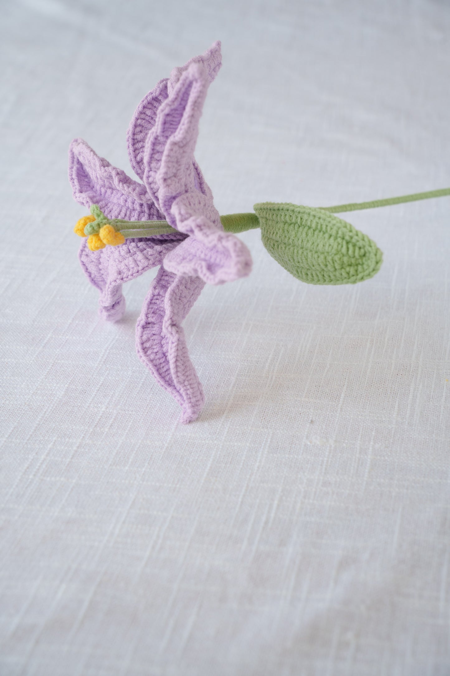 purple lily