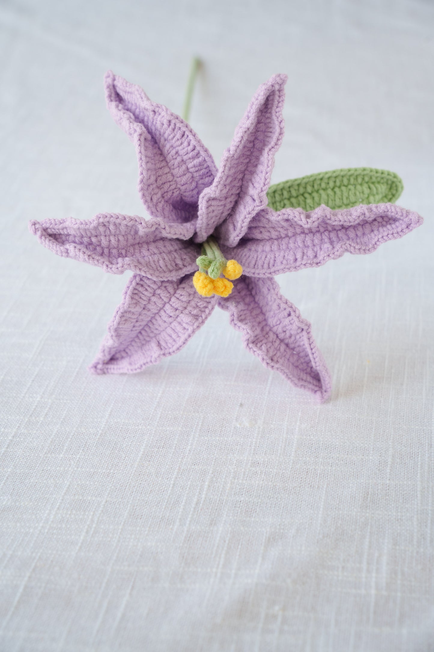 purple lily