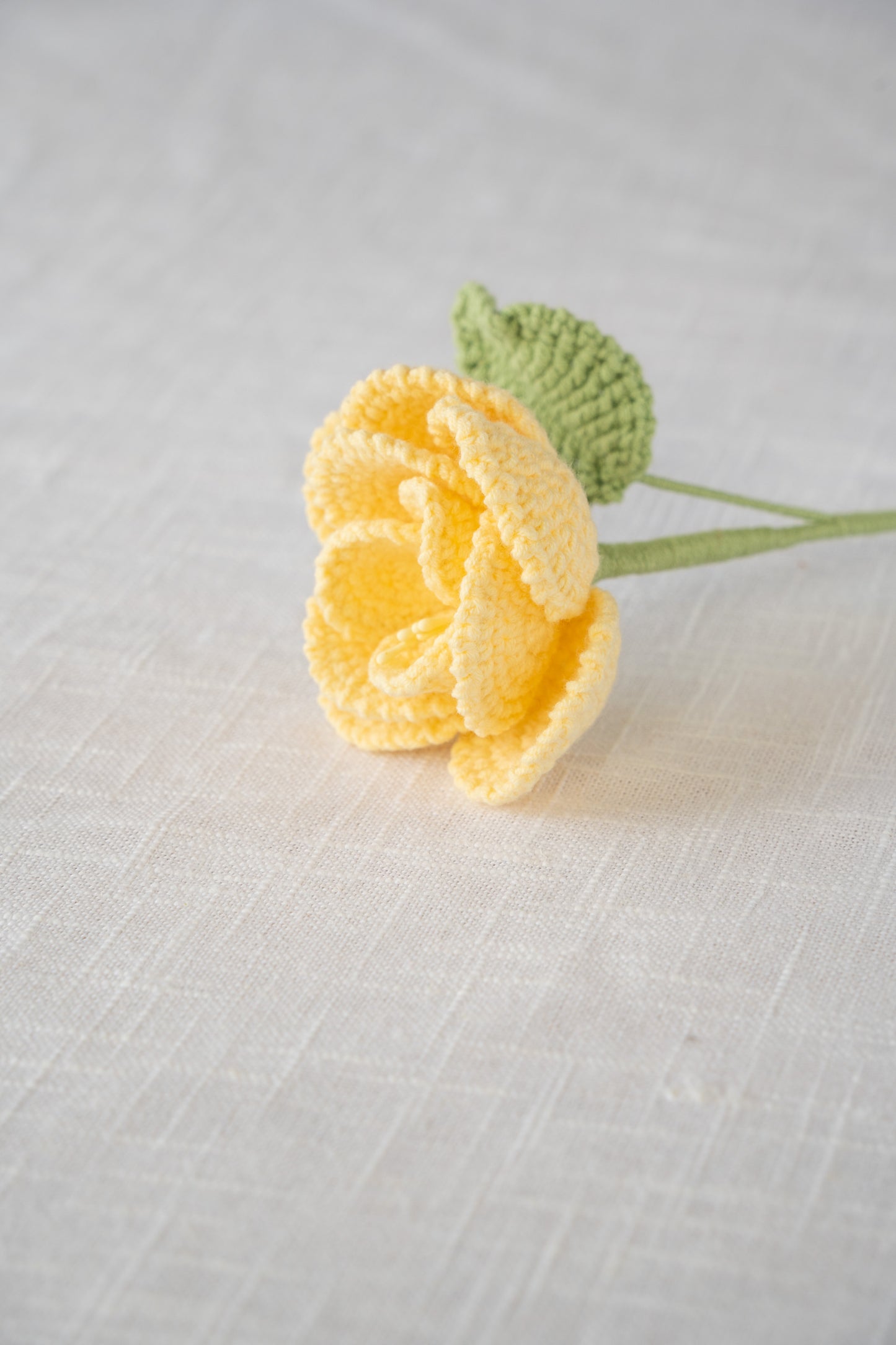 Yellow French Rose