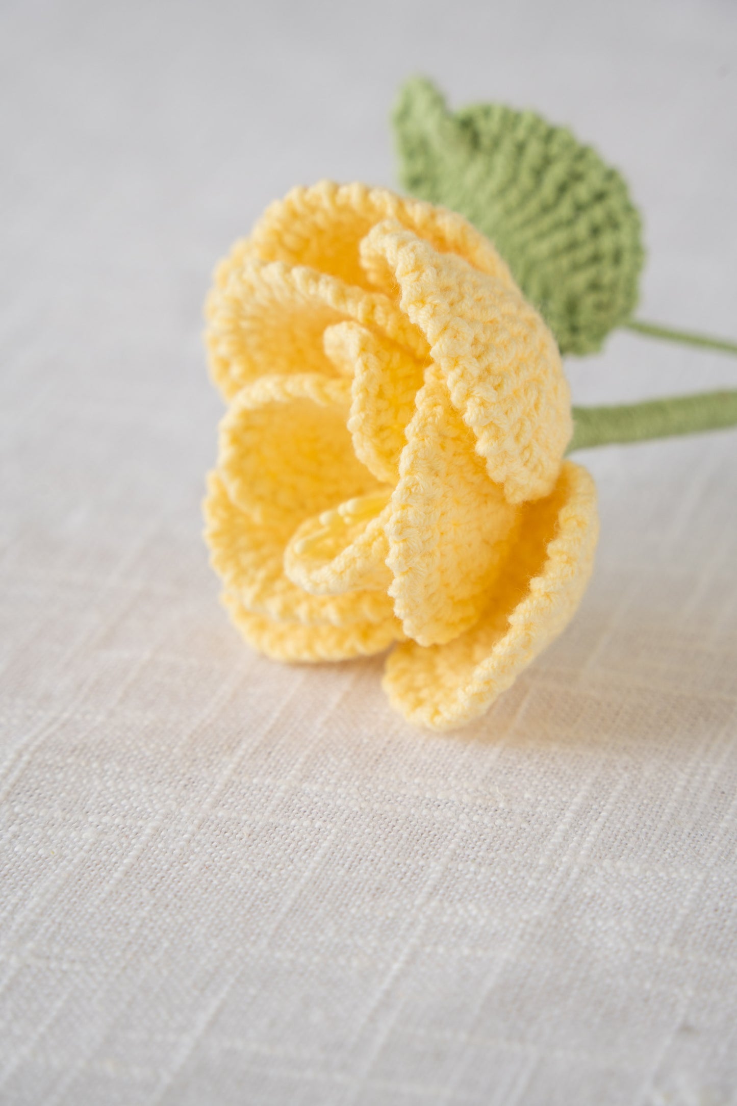 Yellow French Rose