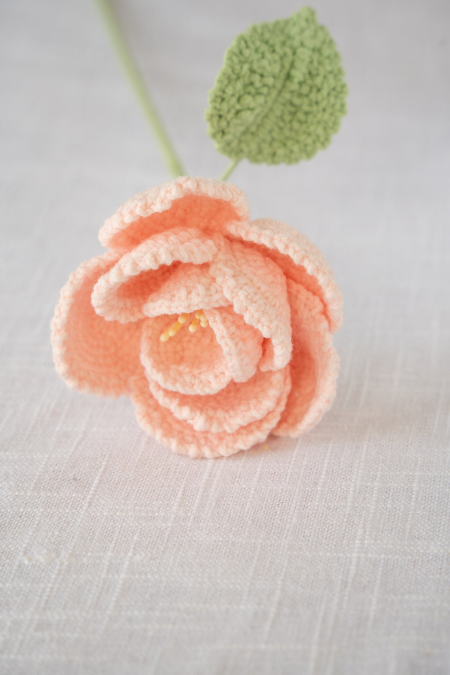 Pink French Rose