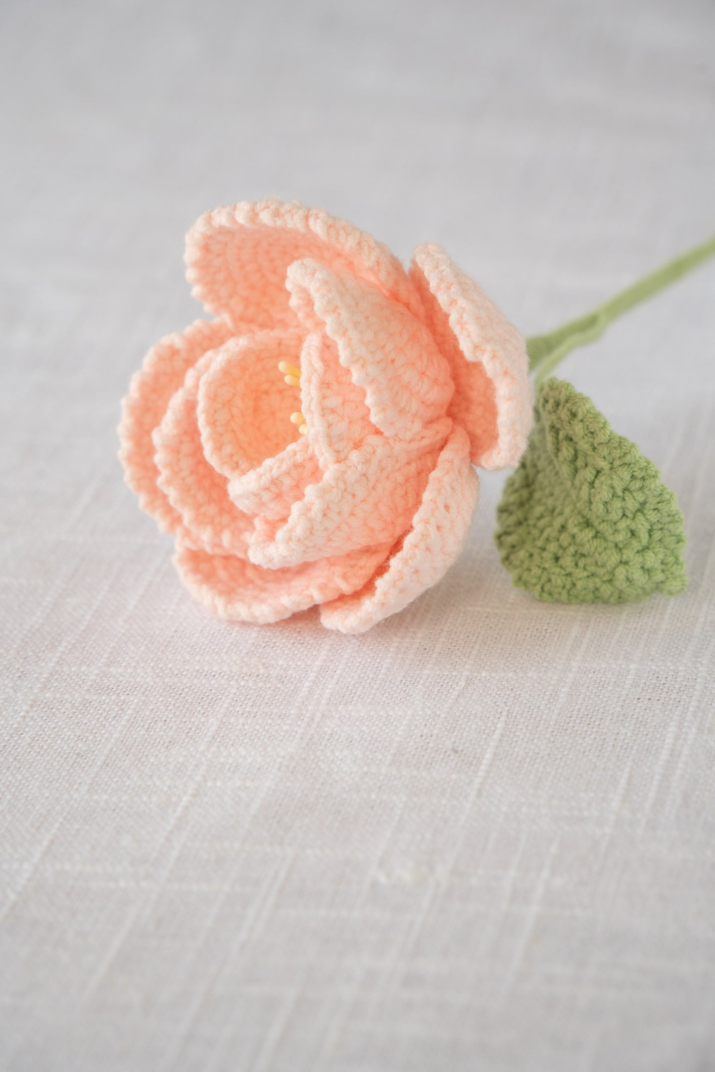 Pink French Rose