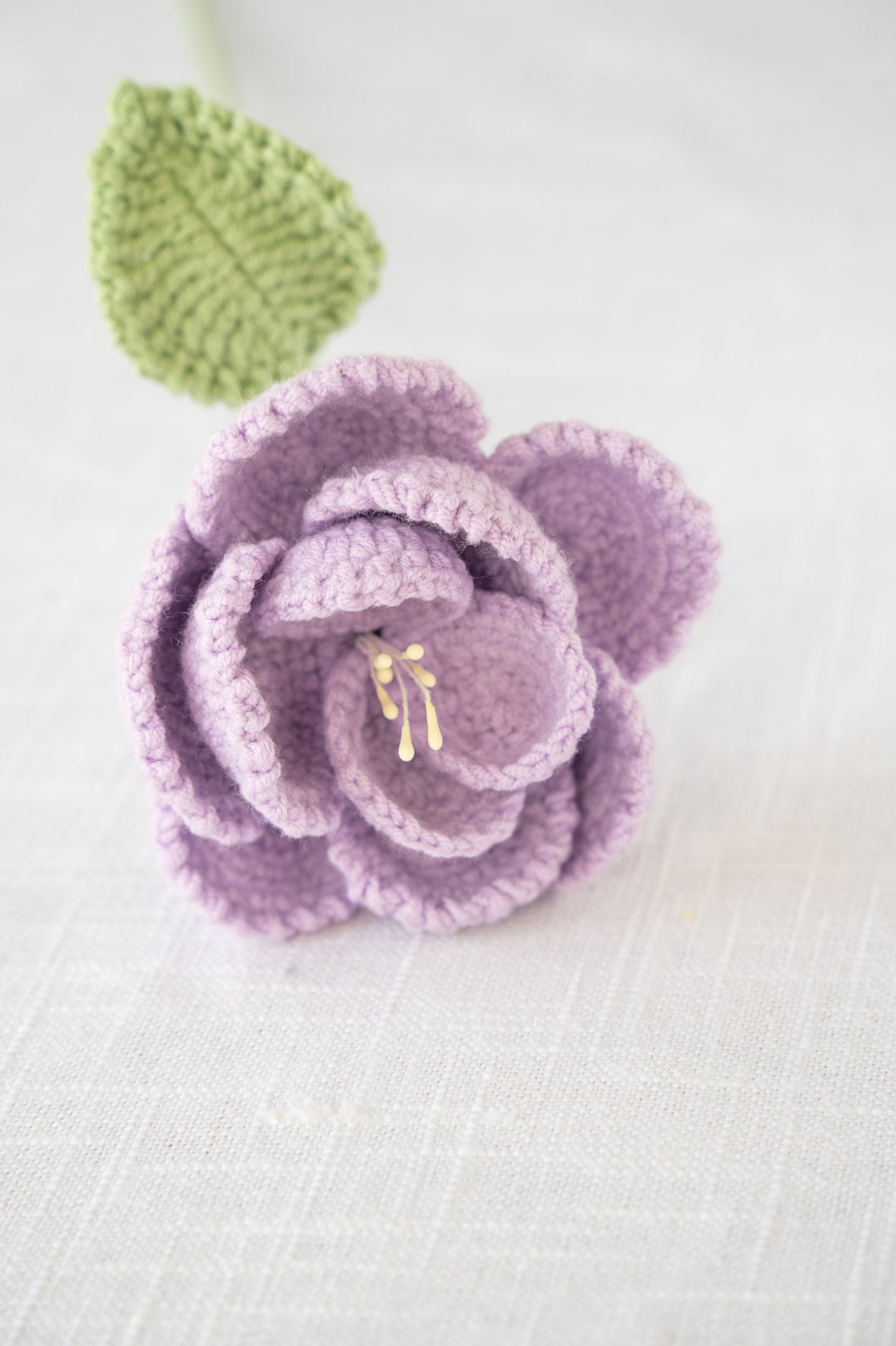 Purple French Rose