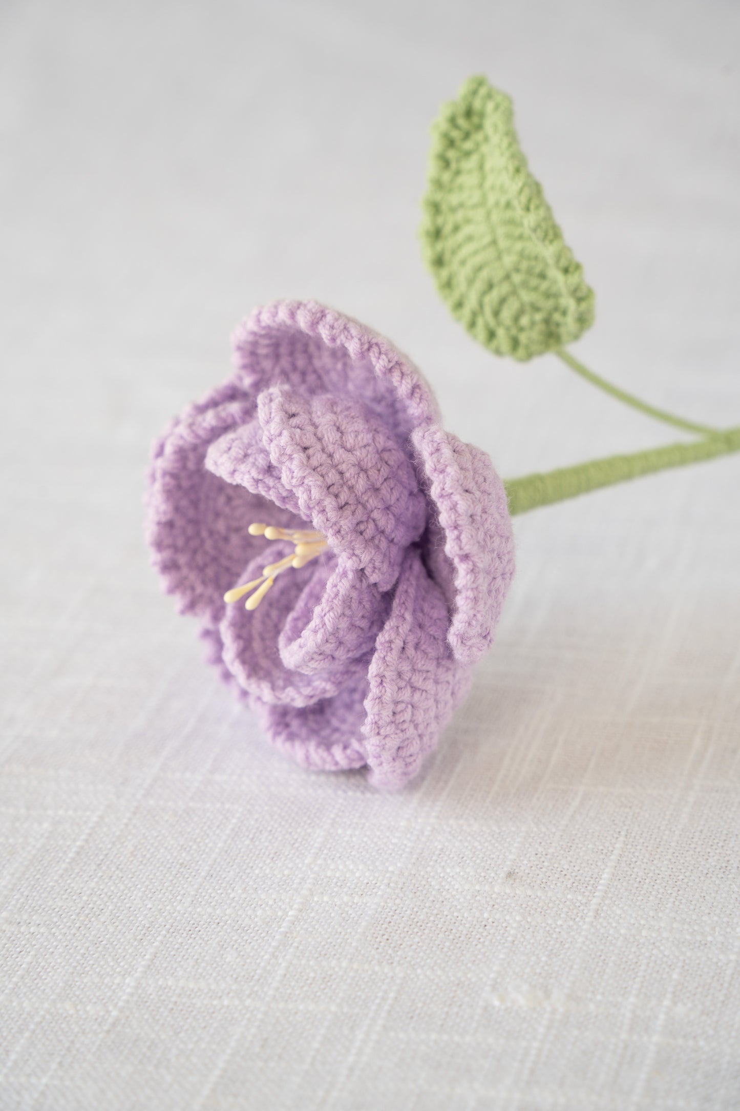 Purple French Rose
