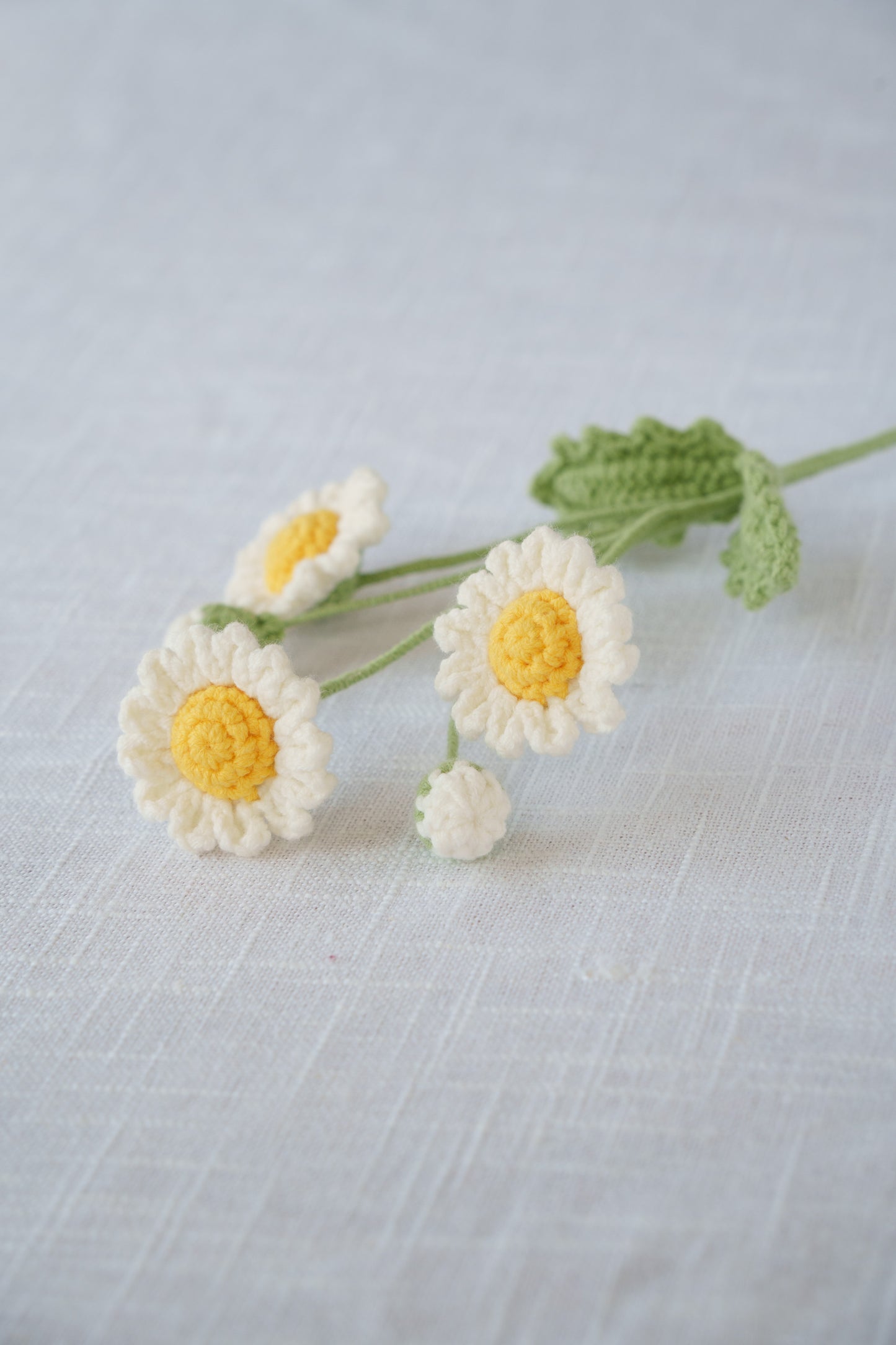 yellow daisy