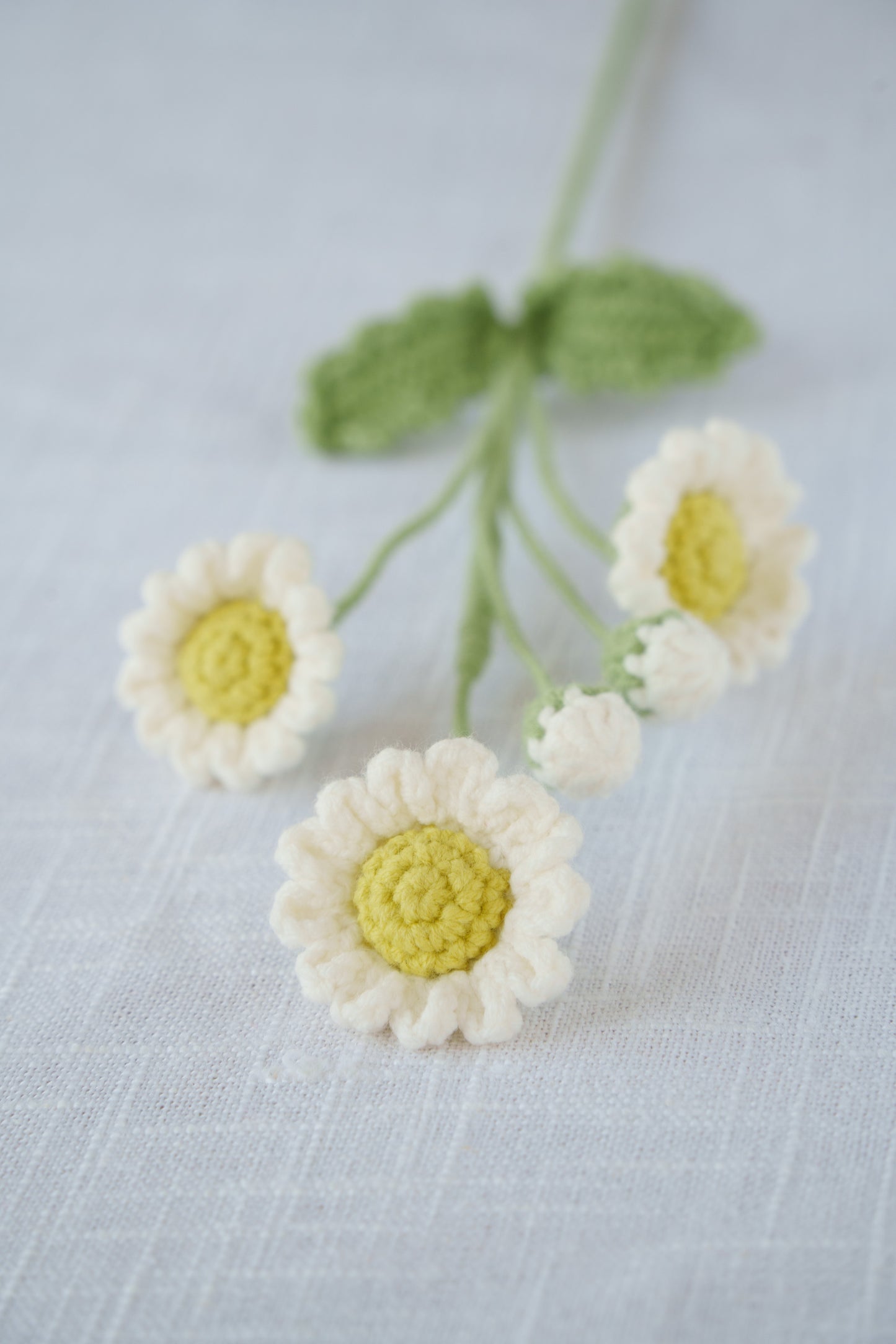 green daisy