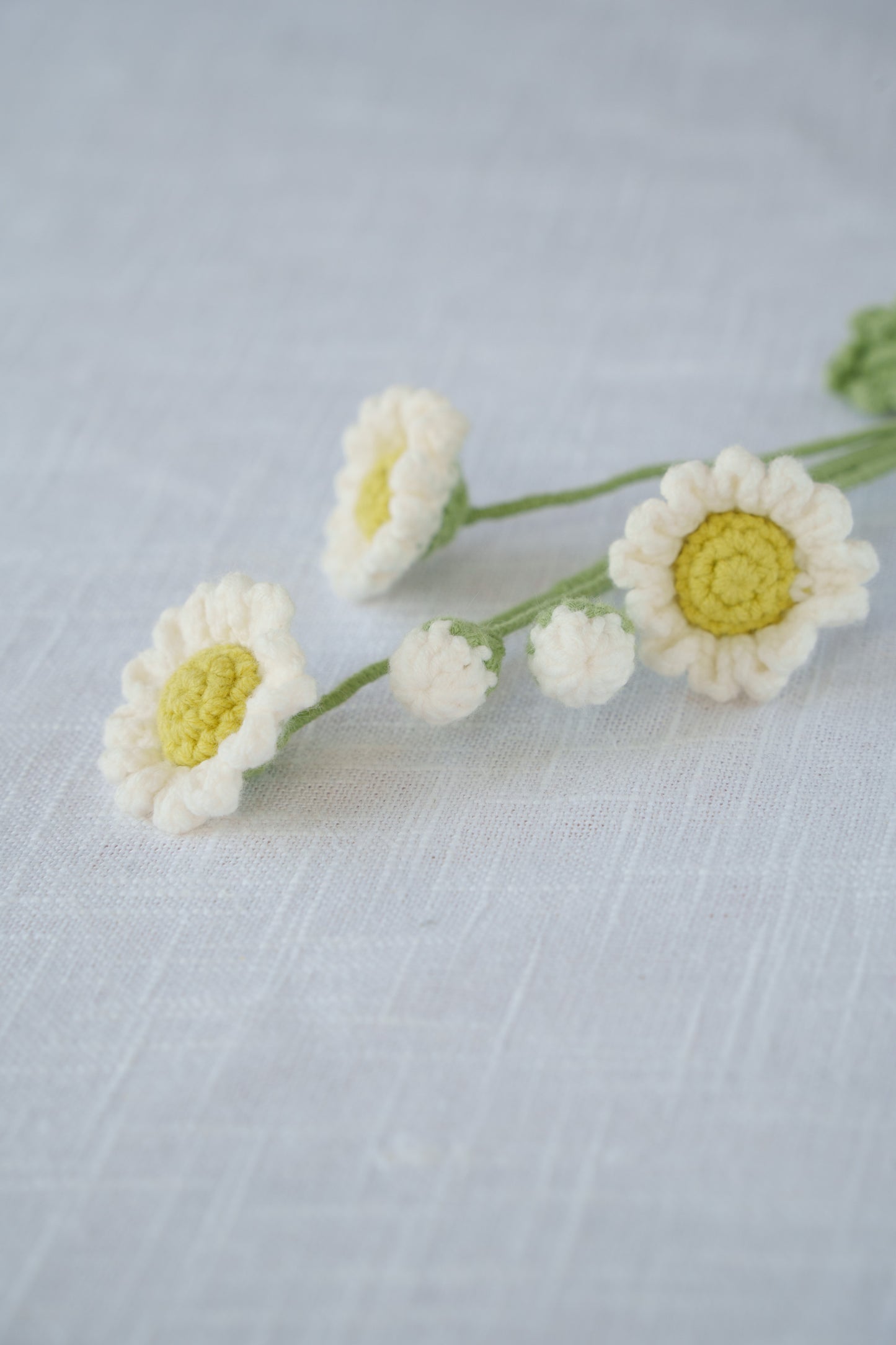 green daisy