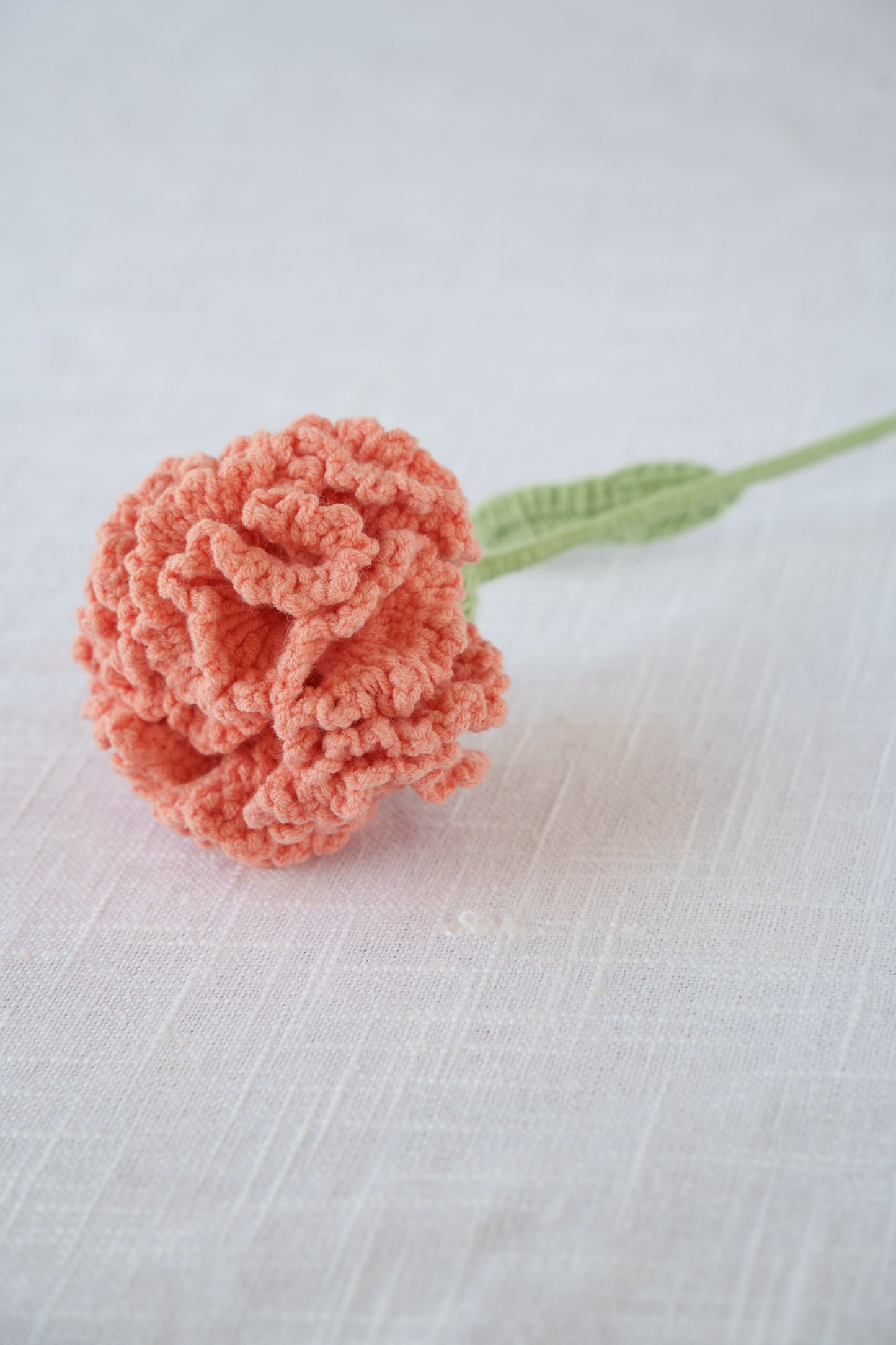 orange carnation
