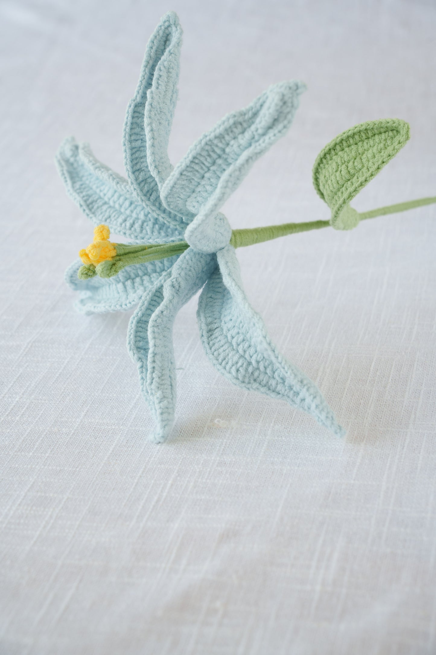 blue lily