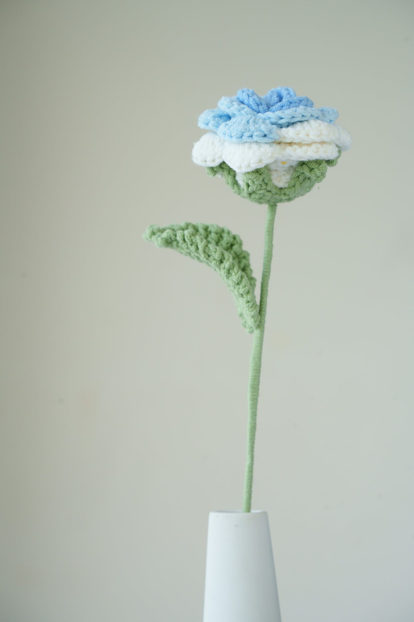 white blue rose