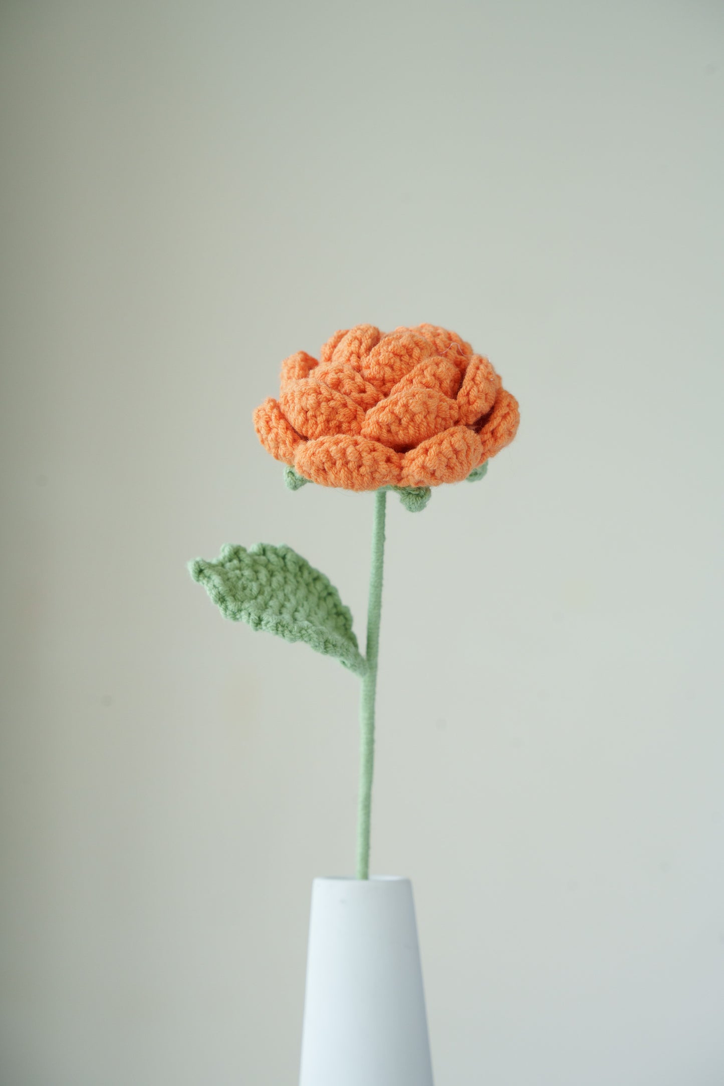 orange rose