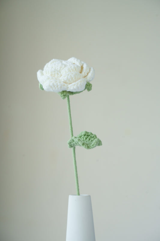 white rose
