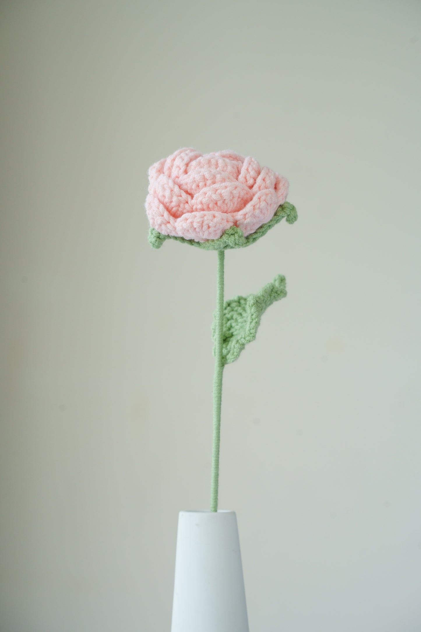 pink rose